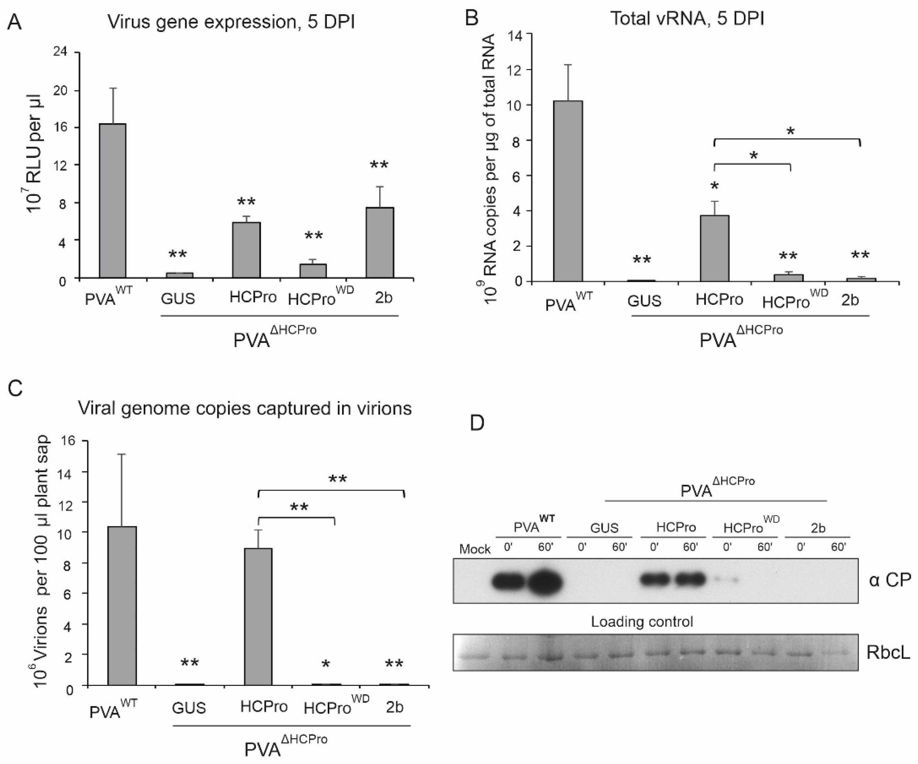 Viruses 14 01233 g003