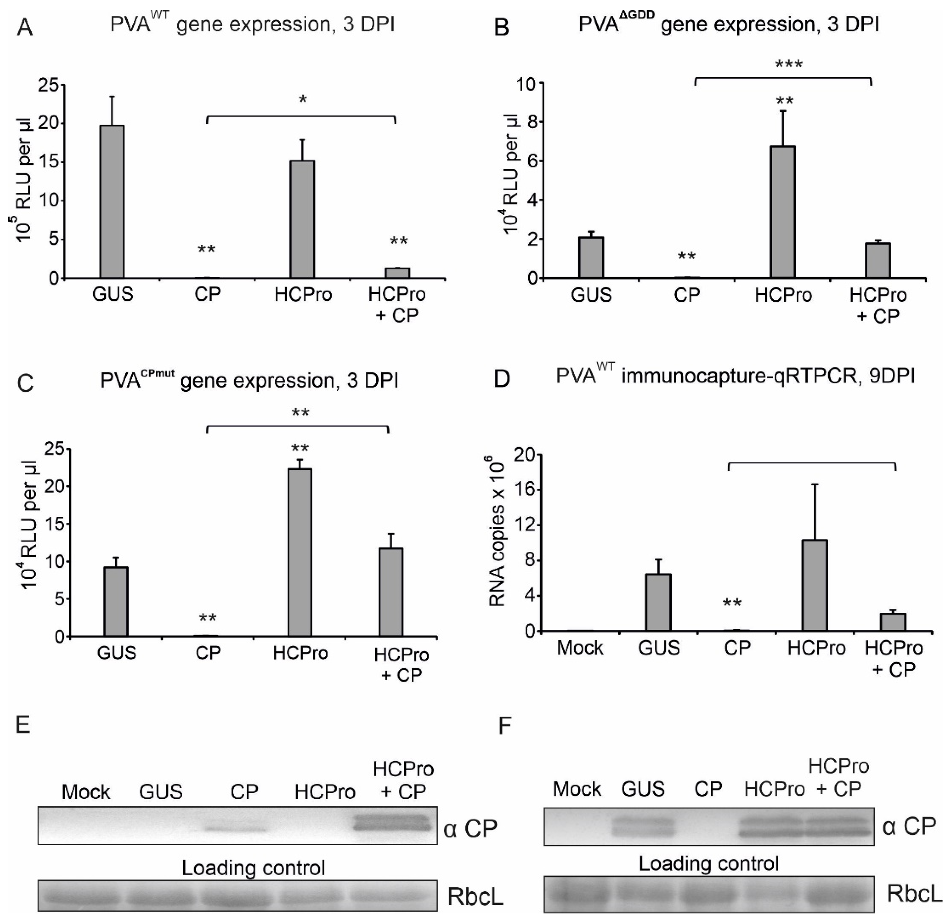 Viruses 14 01233 g005