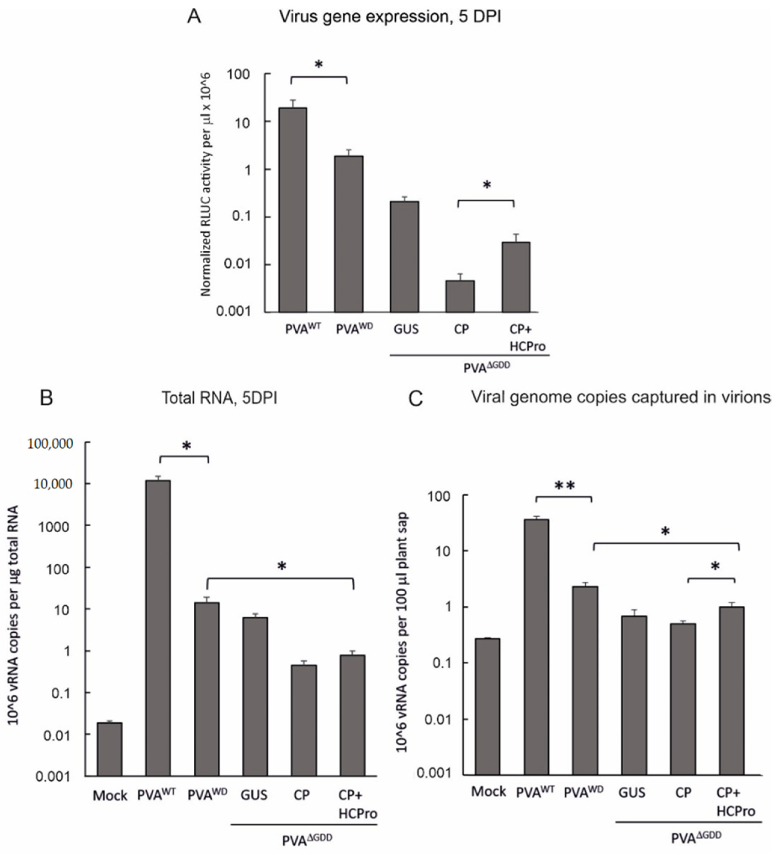 Viruses 14 01233 g006