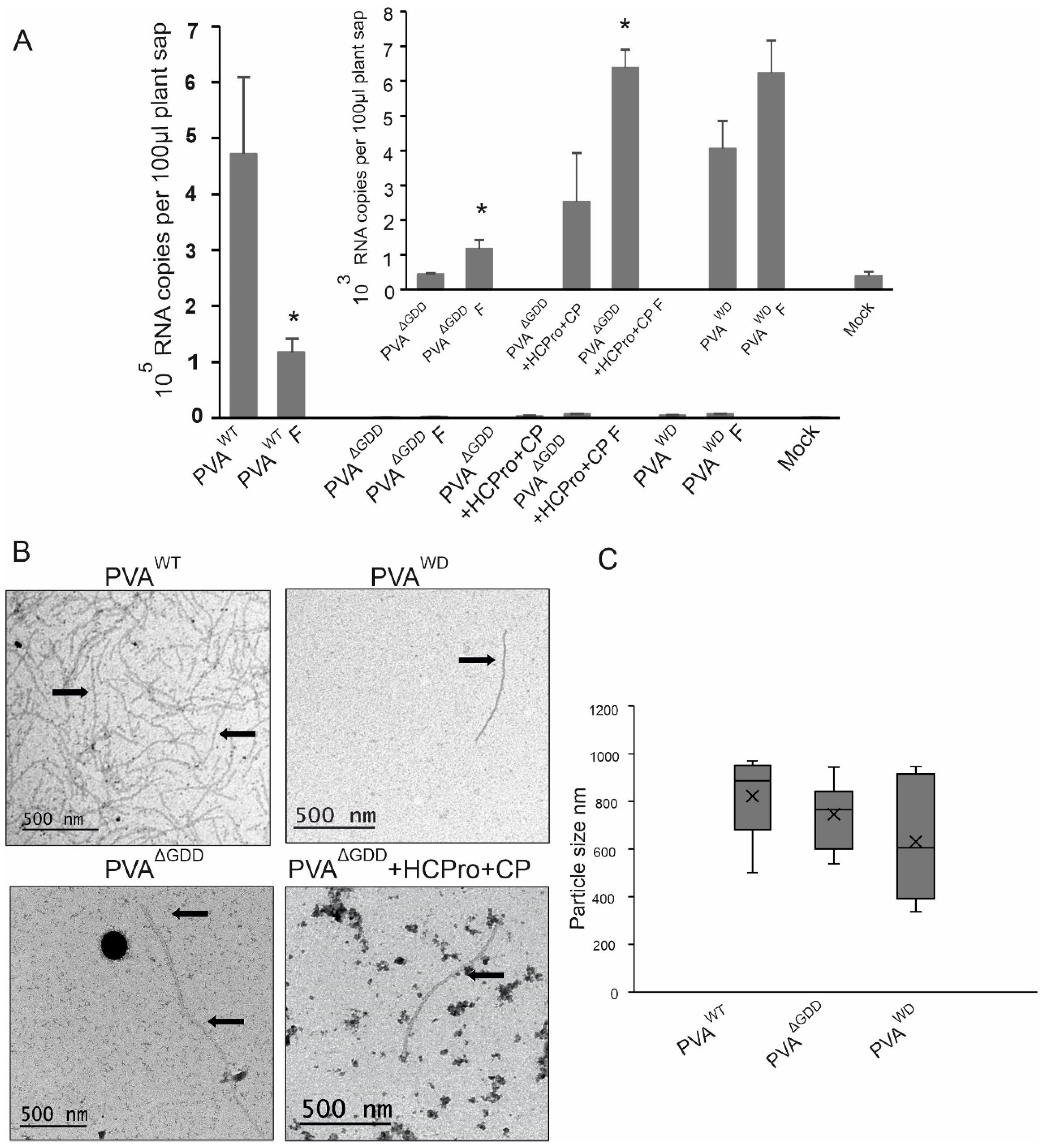 Viruses 14 01233 g007