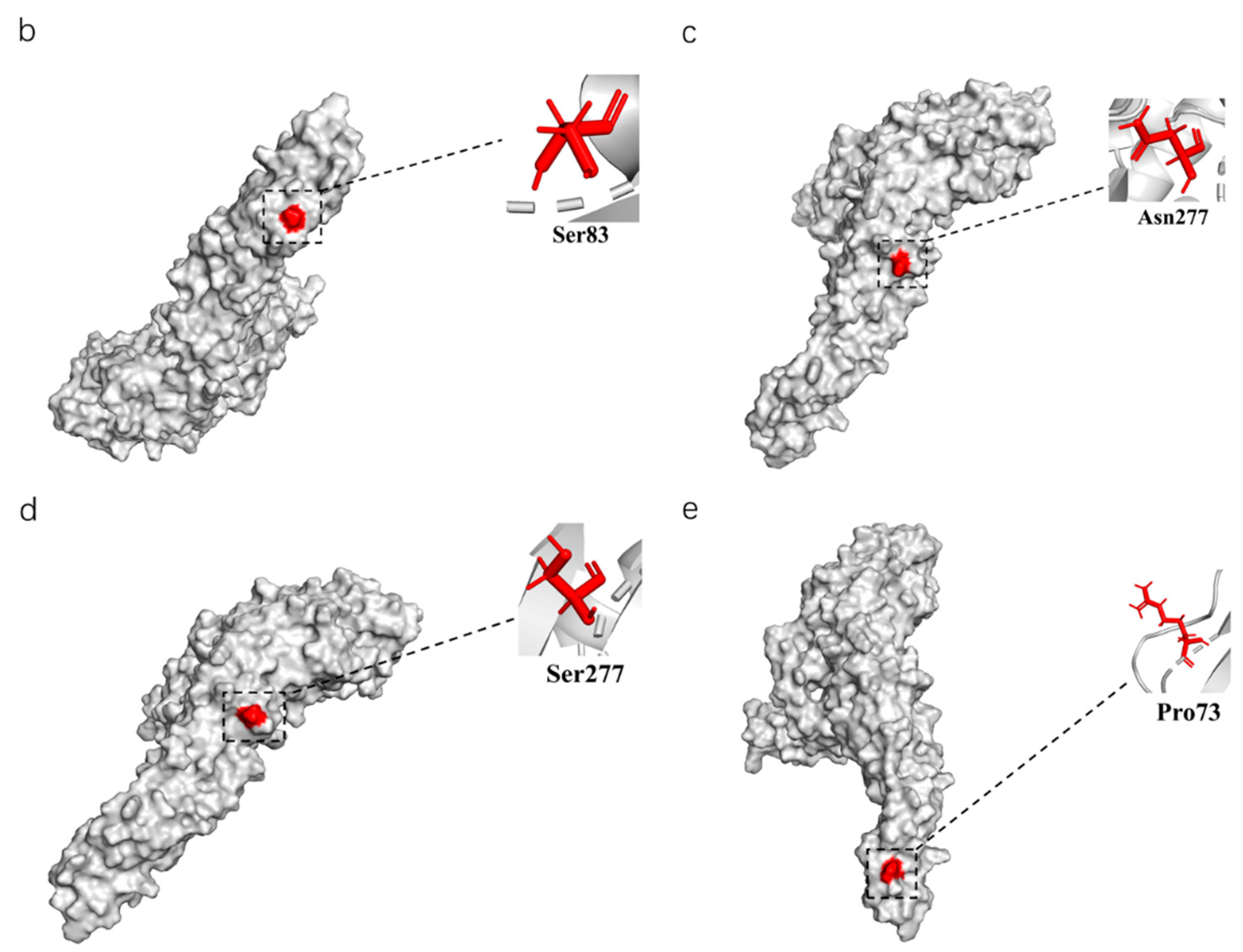 Viruses 14 01236 g004b