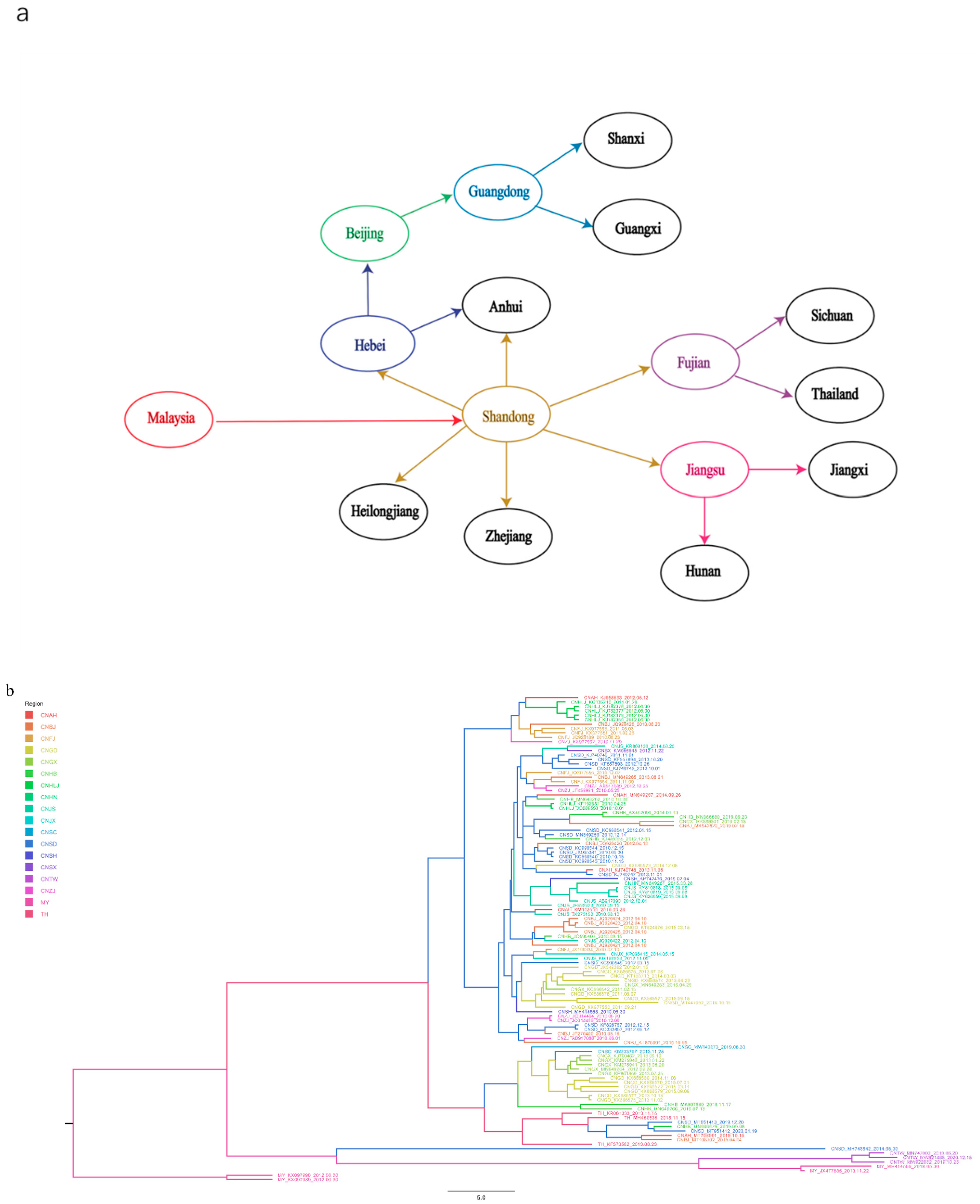 Viruses 14 01236 g005