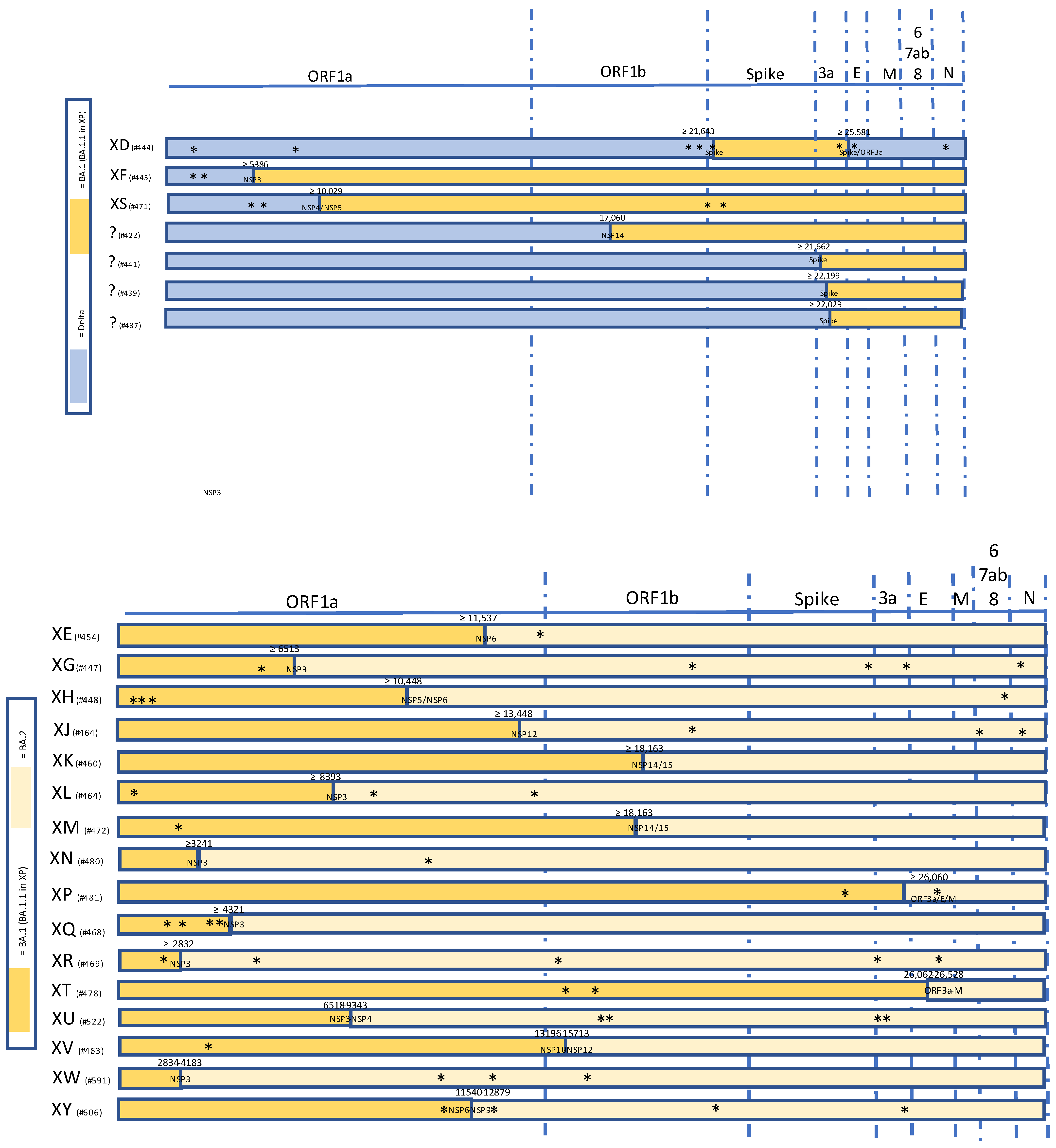 Viruses 14 01239 g001