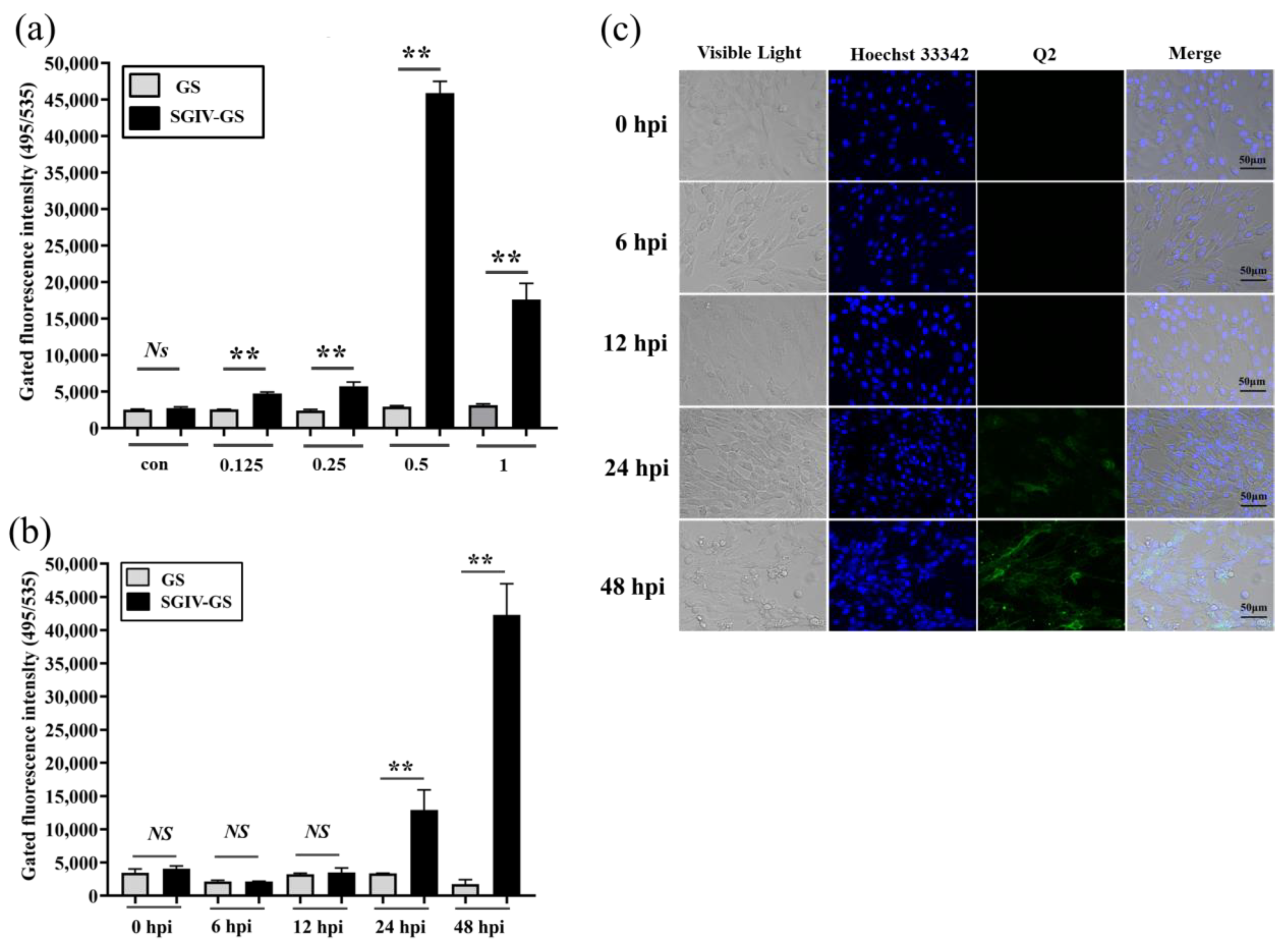 Viruses 14 01242 g002