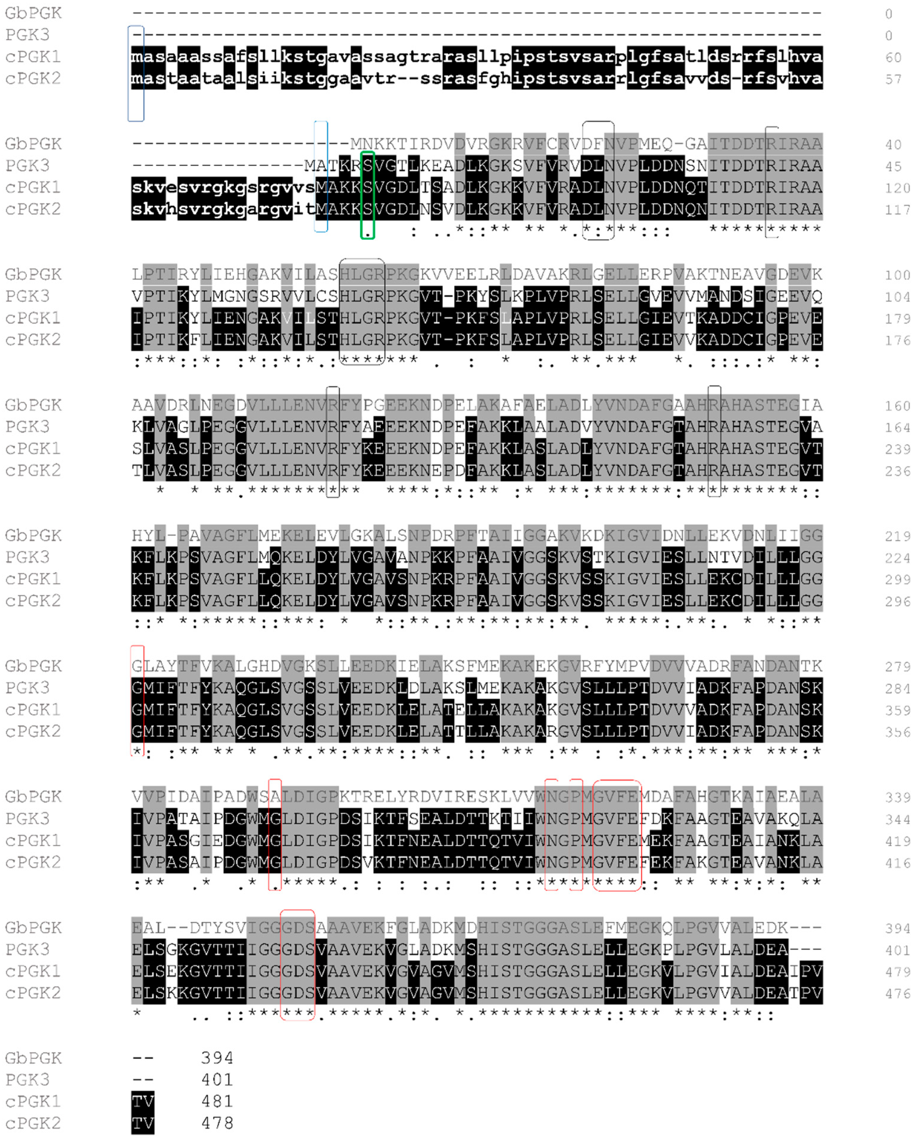 Viruses 14 01245 g001 Viruses 14 01245 g001