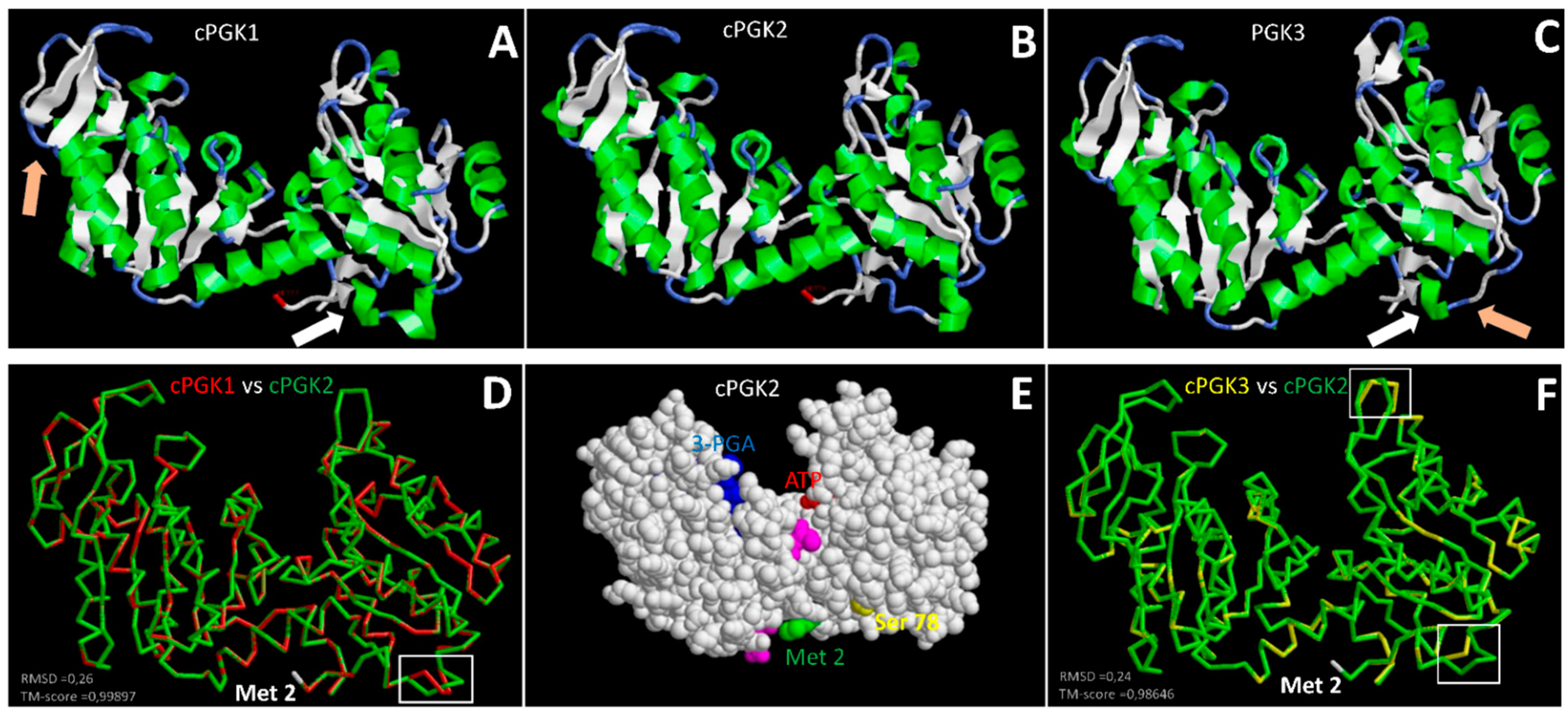 Viruses 14 01245 g003 Viruses 14 01245 g003