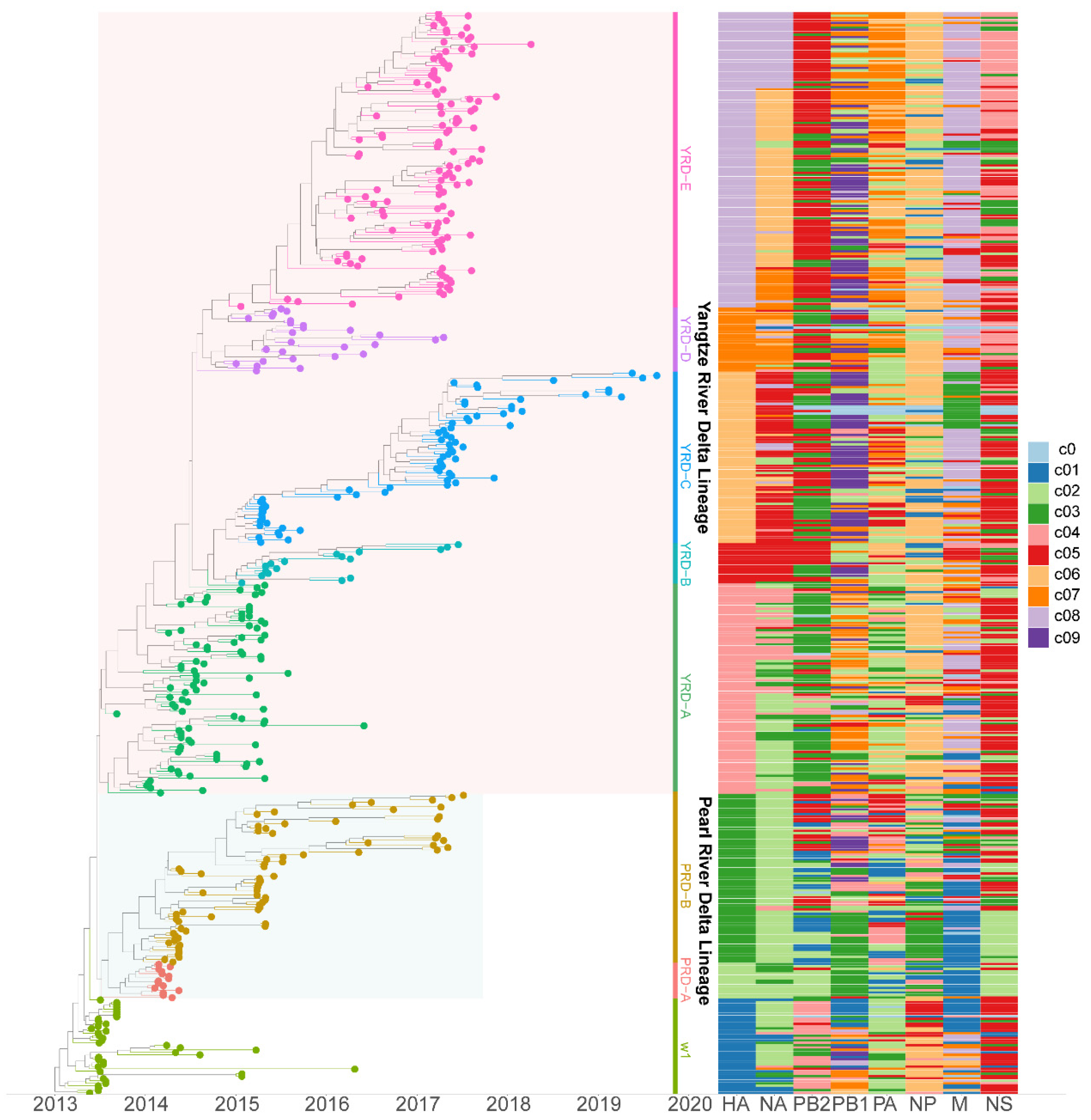 Viruses 14 01256 g002