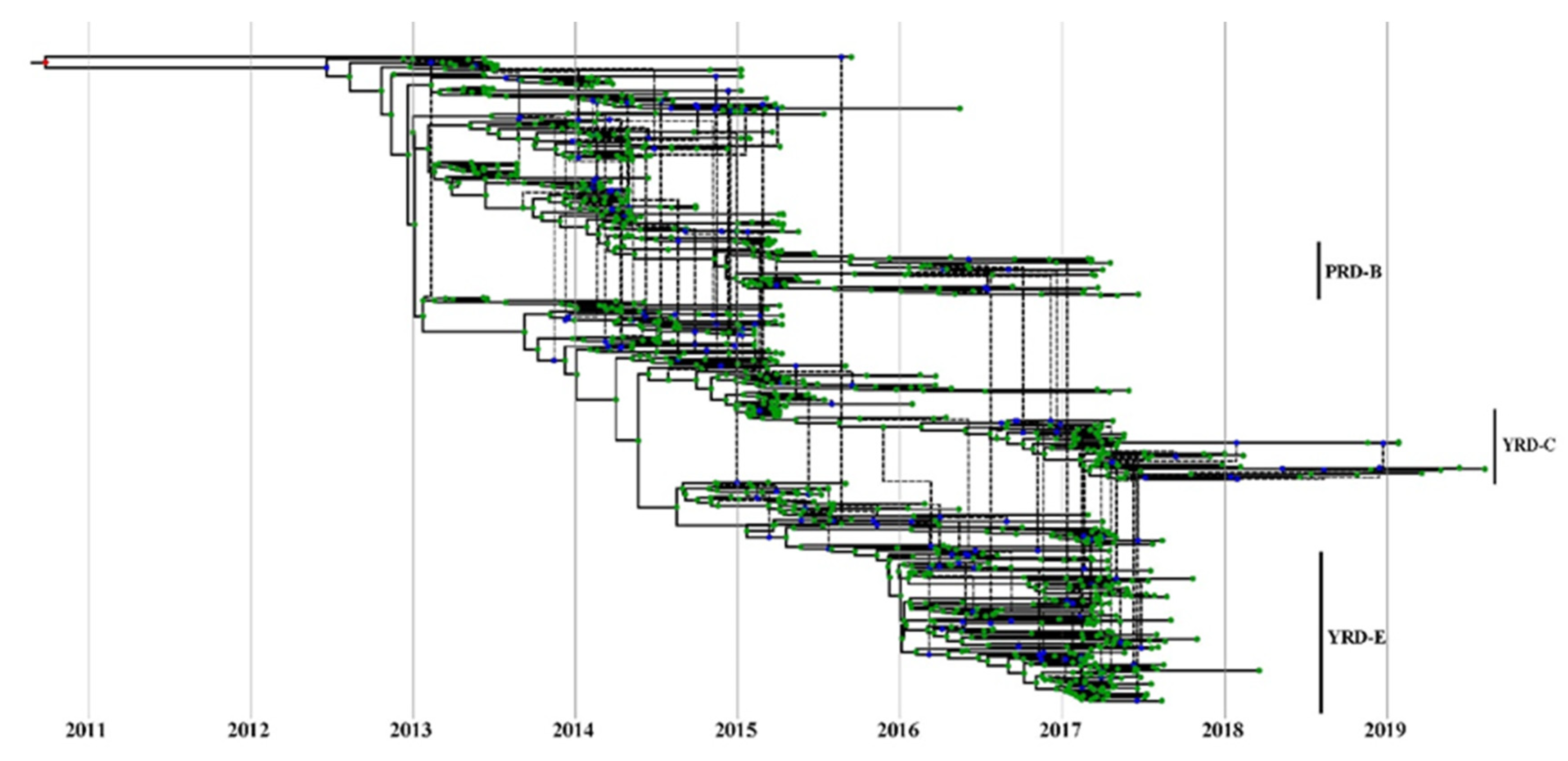 Viruses 14 01256 g006