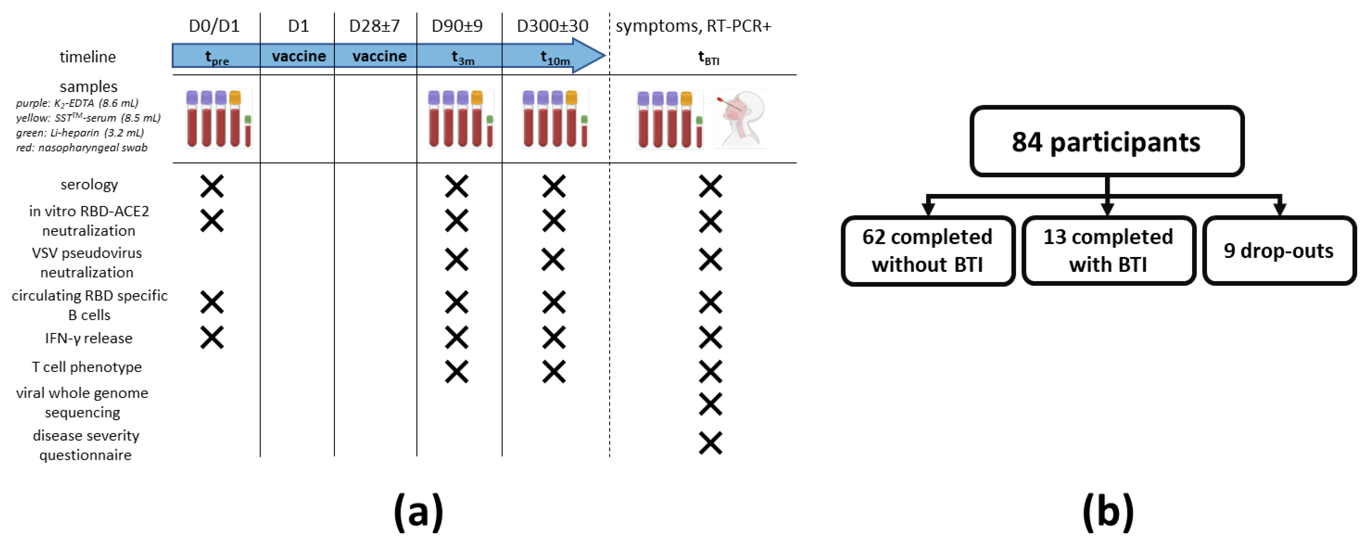 Viruses 14 01257 g001