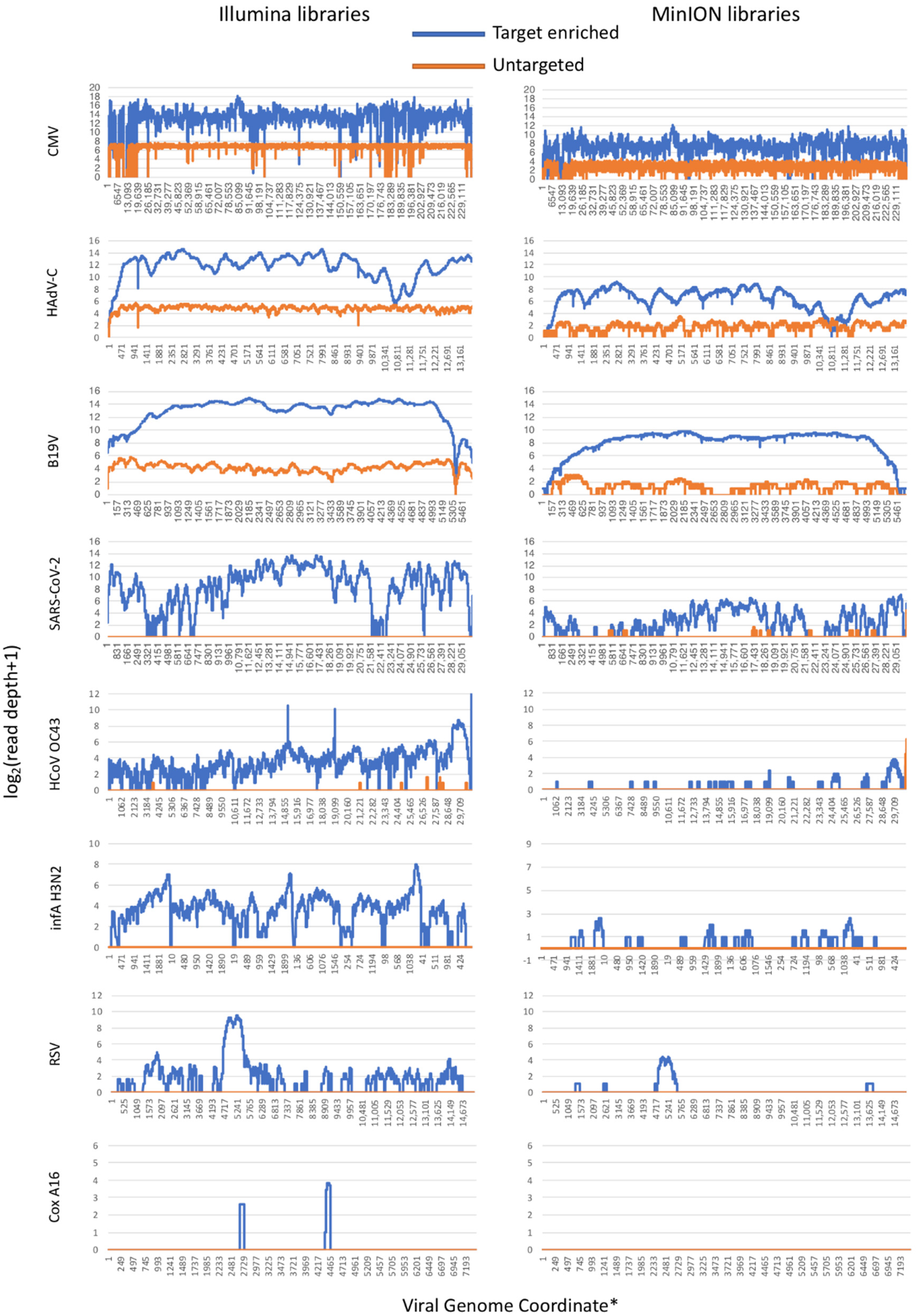 Viruses 14 01272 g002
