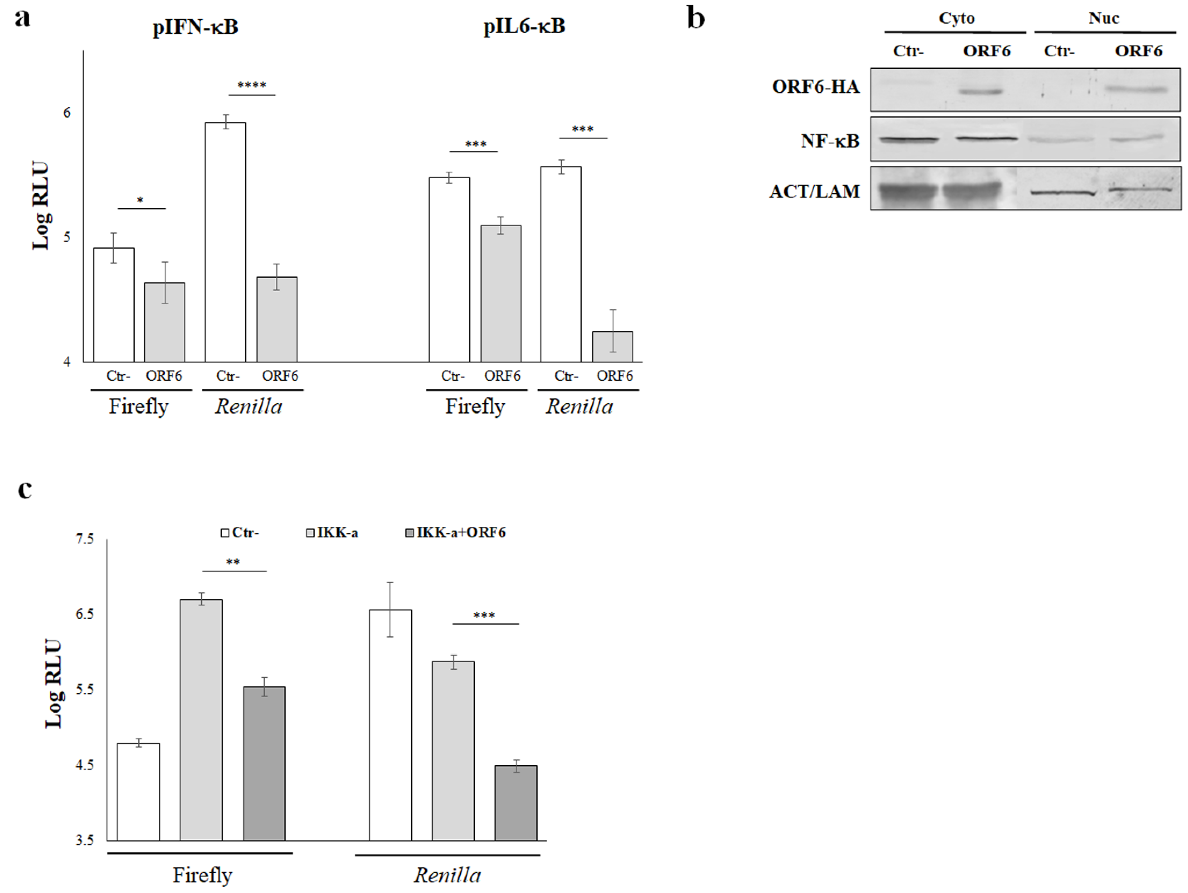 Viruses 14 01273 g003