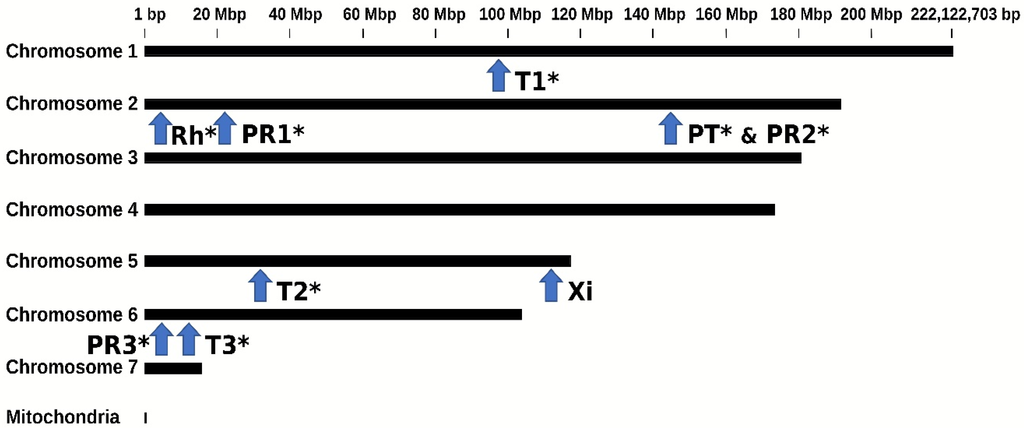 Viruses 14 01274 g001
