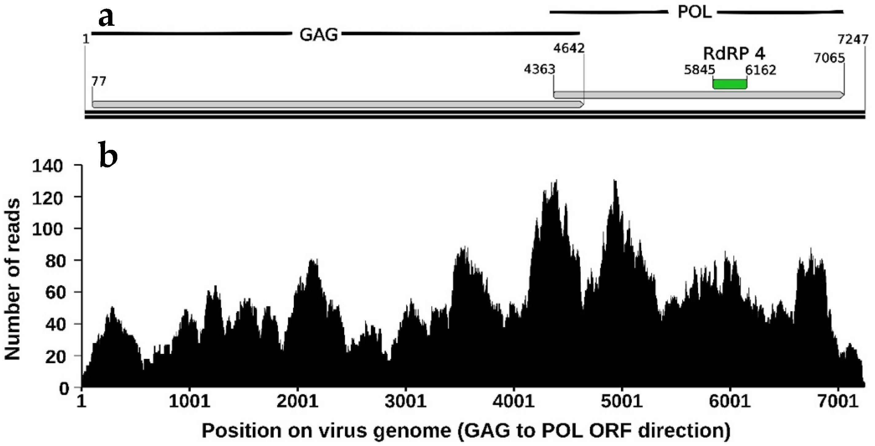 Viruses 14 01274 g002