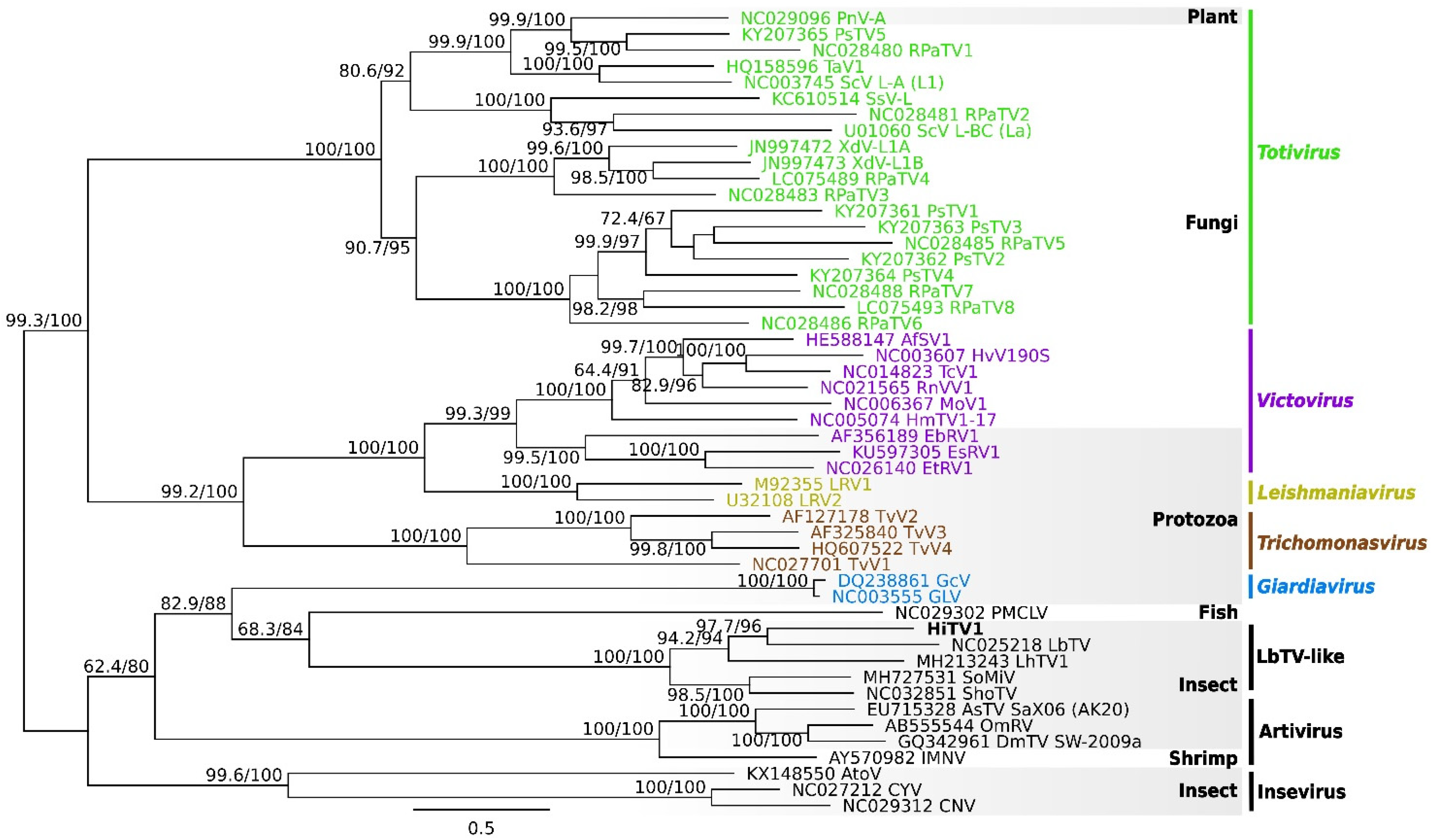Viruses 14 01274 g003