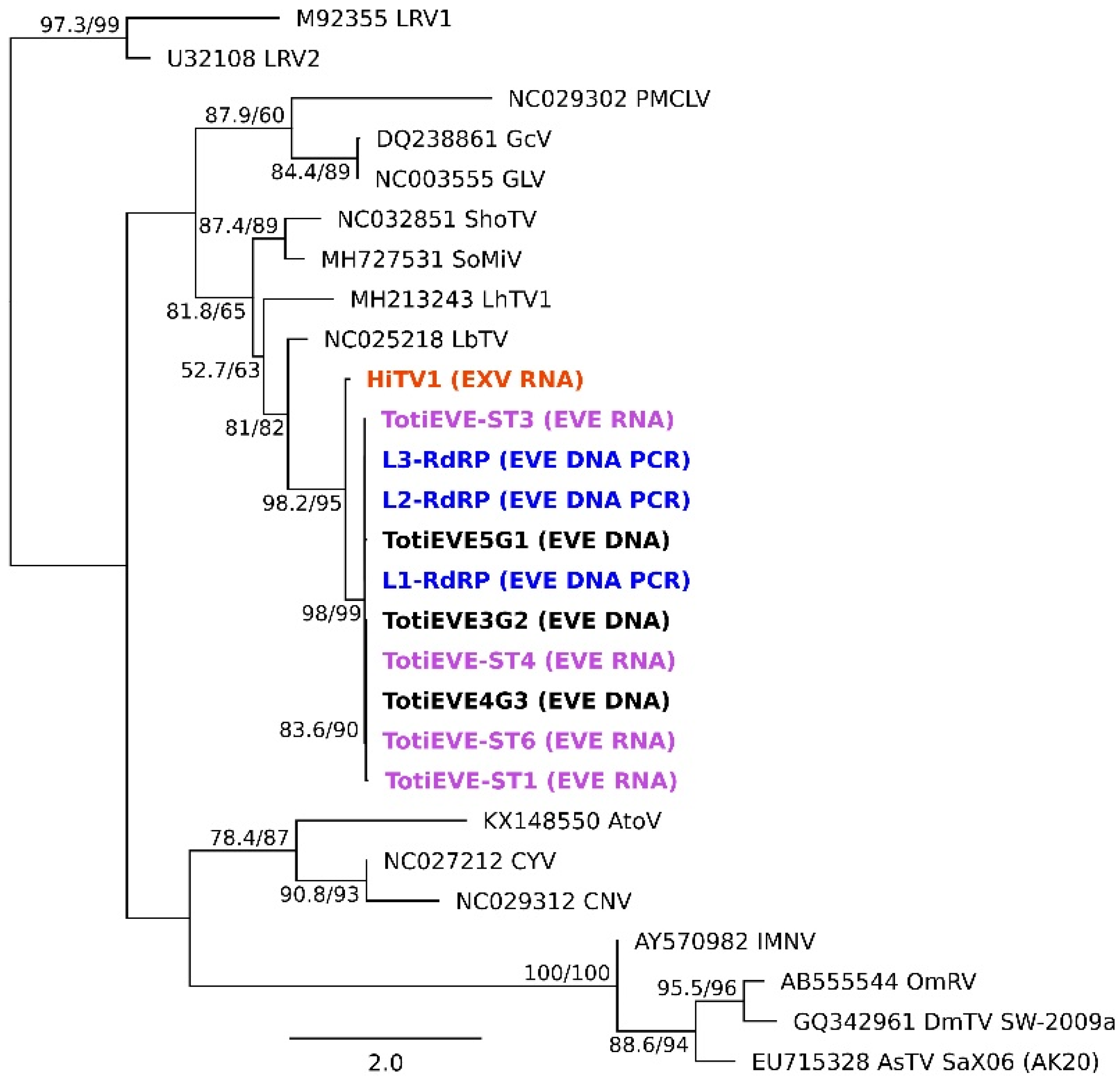 Viruses 14 01274 g005