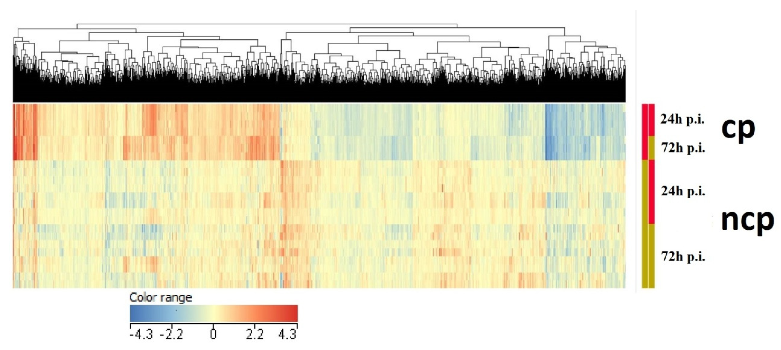 Viruses 14 01276 g003