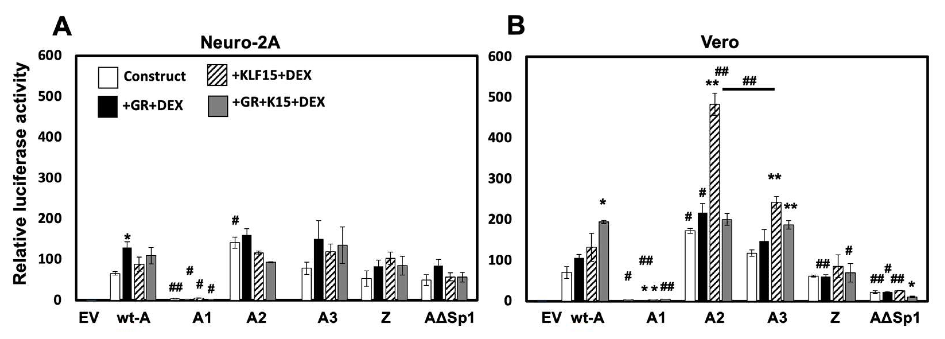 Viruses 14 01284 g003