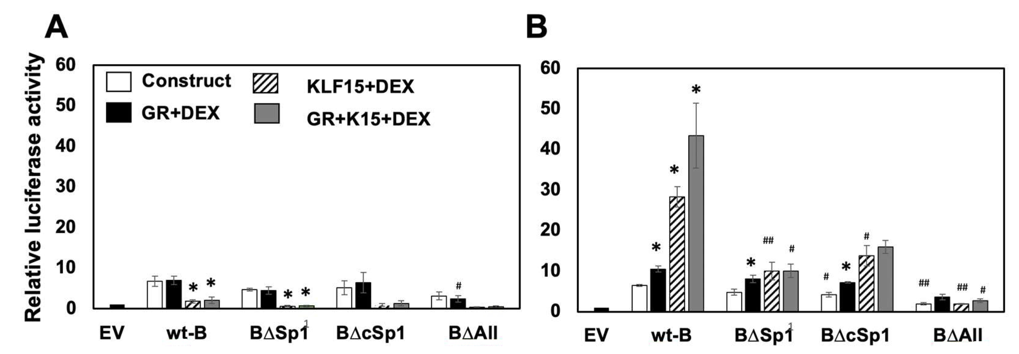 Viruses 14 01284 g005