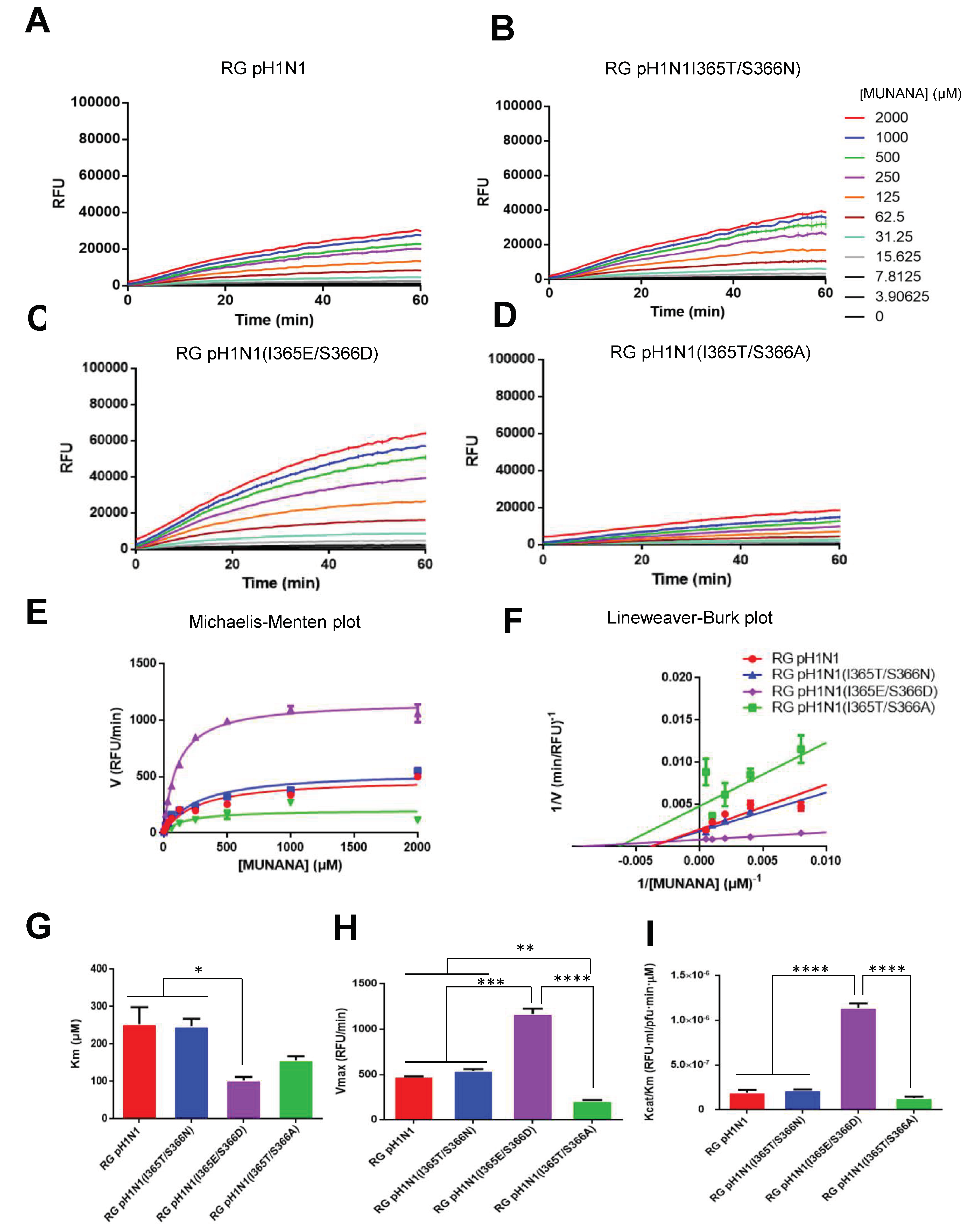 Viruses 14 01304 g003