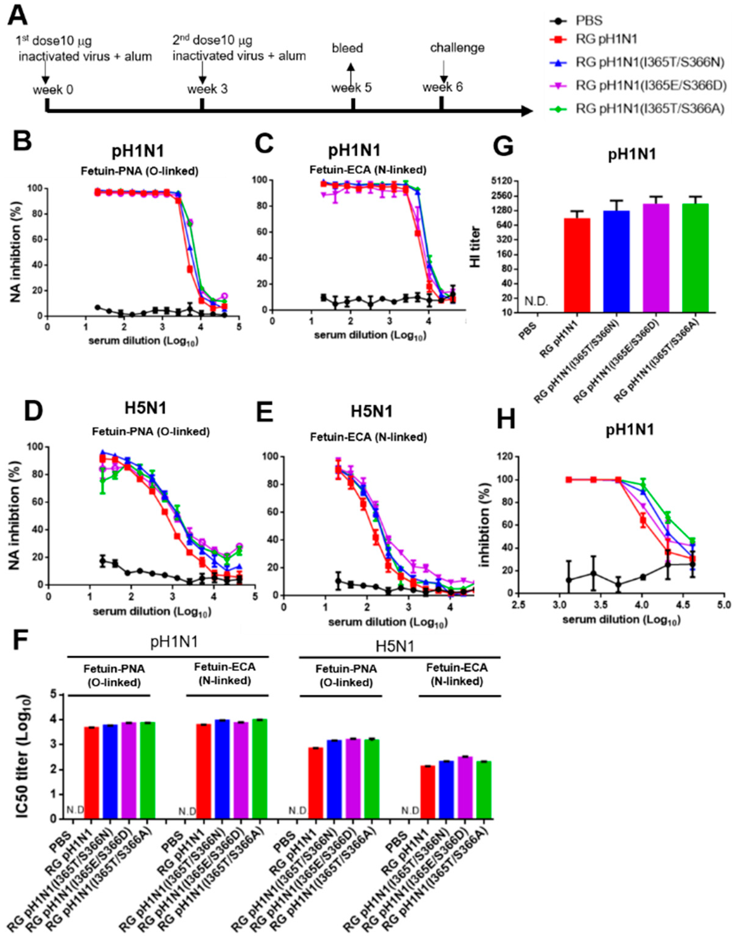 Viruses 14 01304 g006