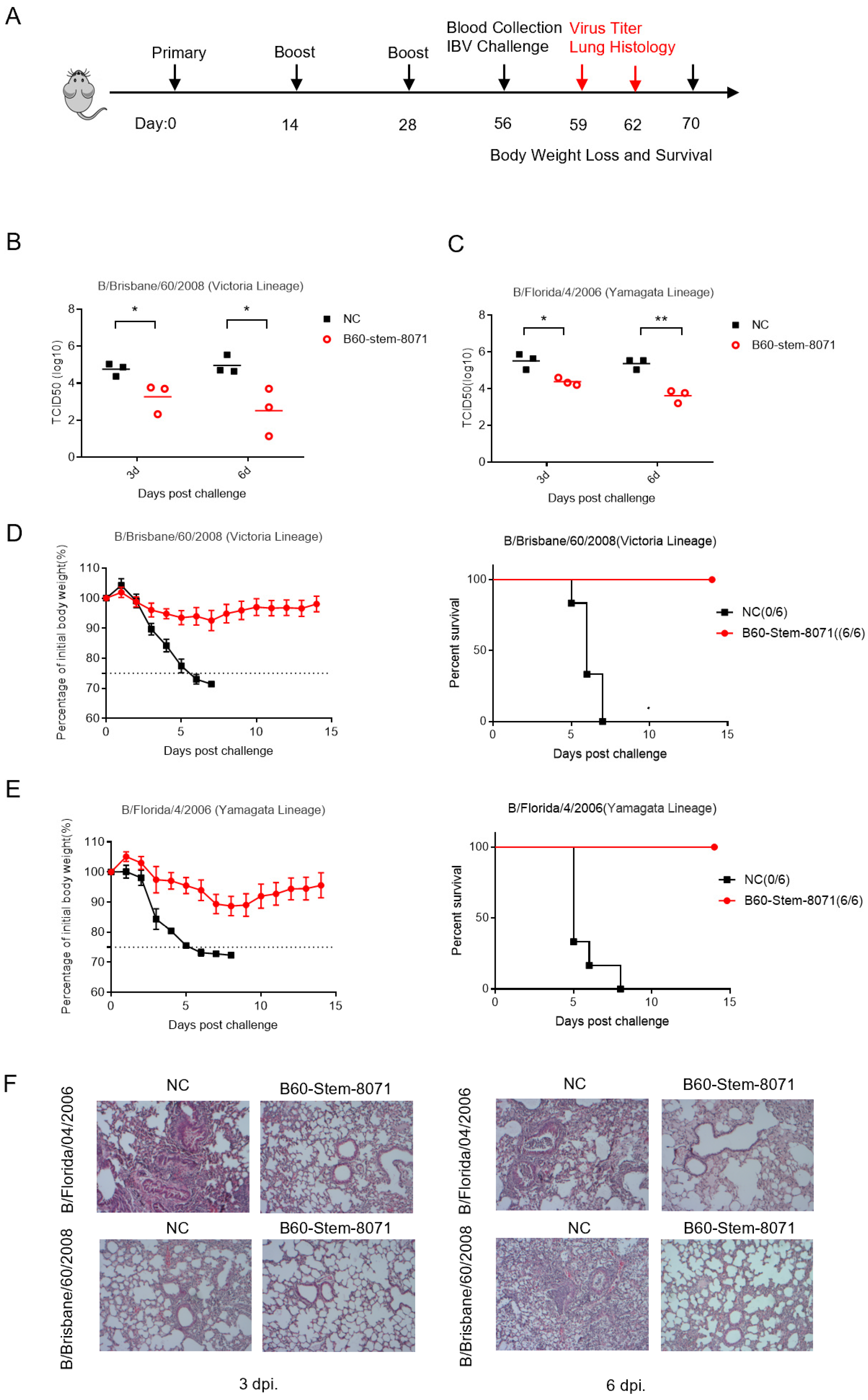 Viruses 14 01305 g005