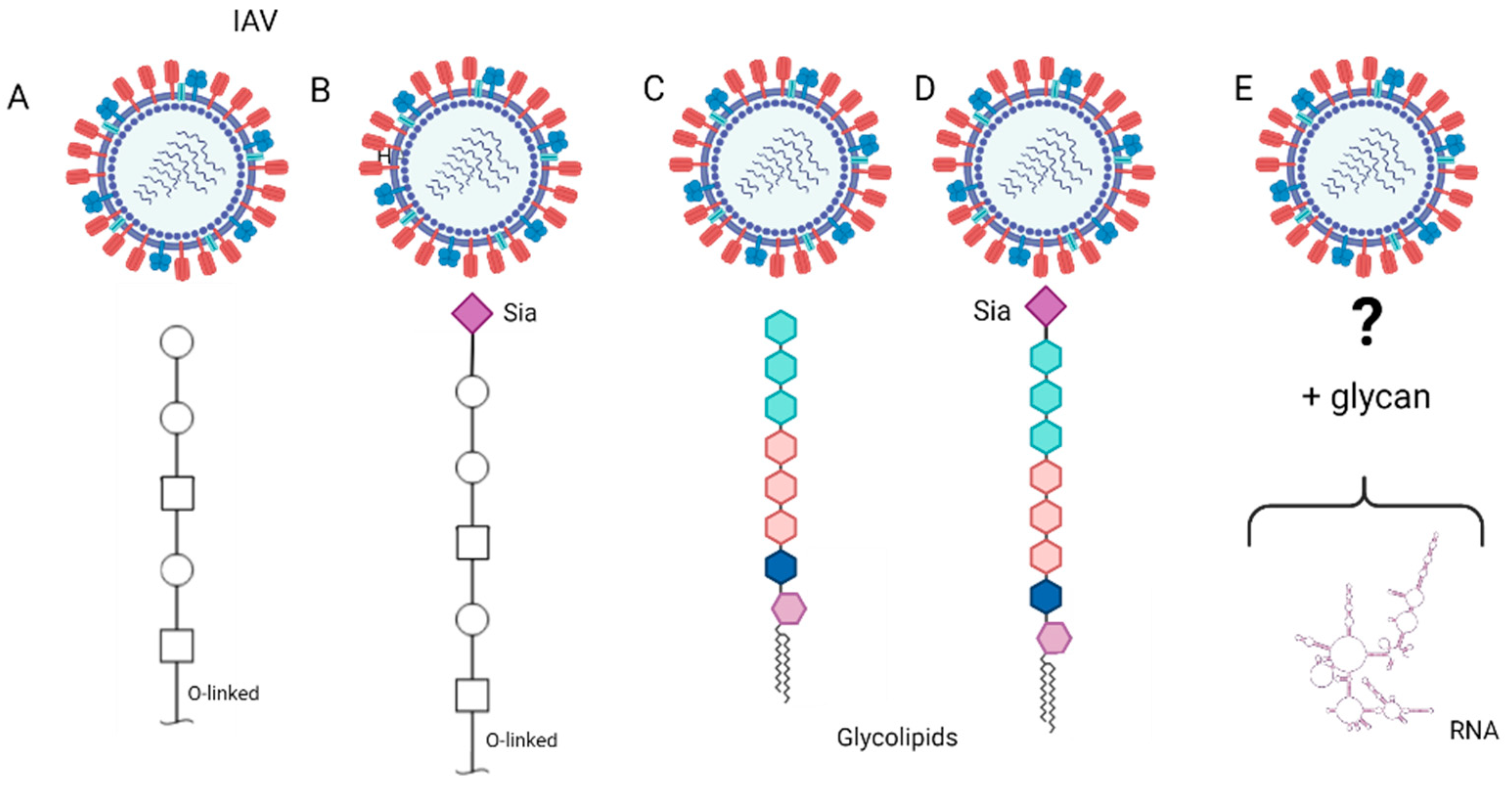 Viruses 14 01307 g003