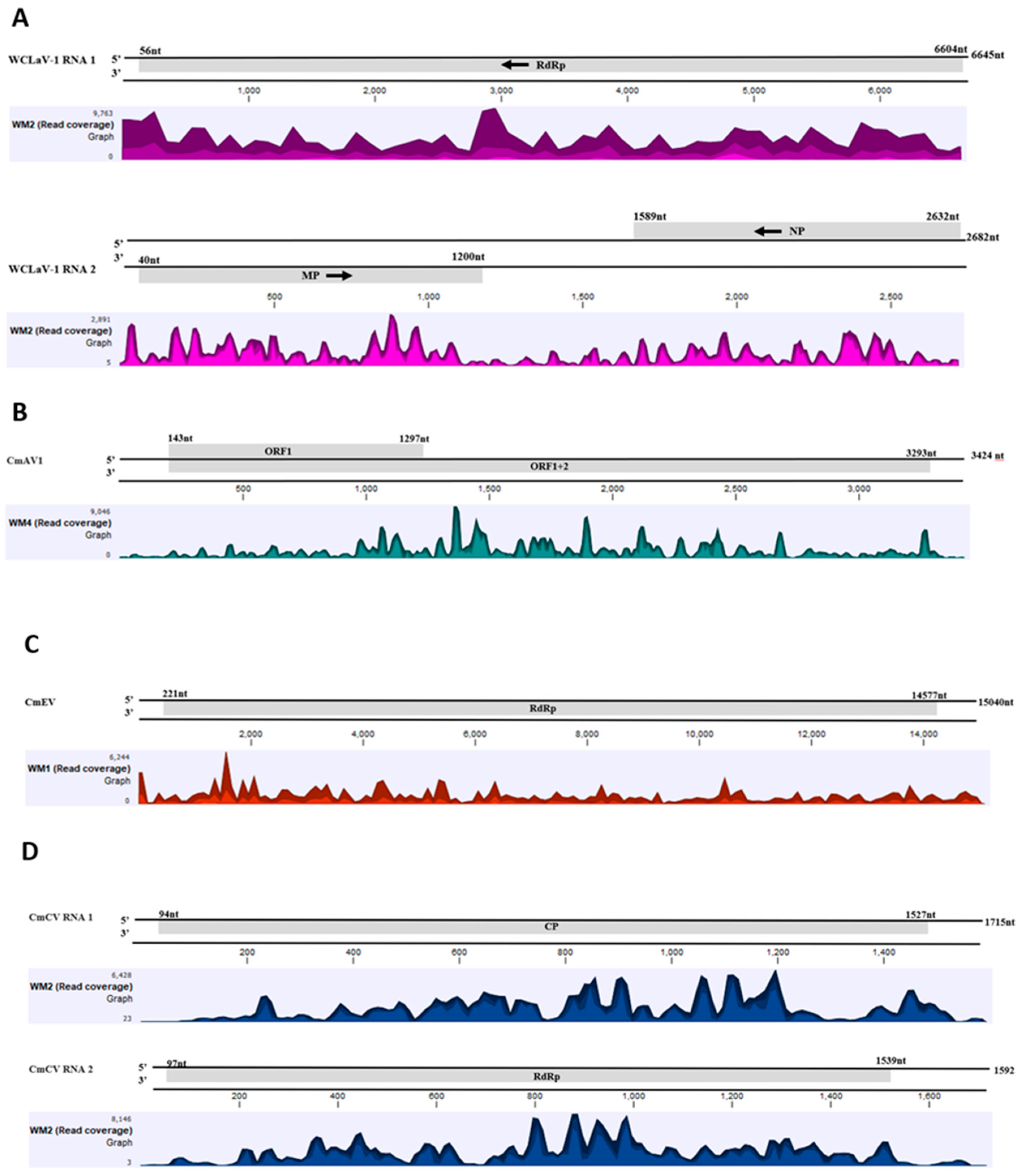 Viruses 14 01310 g003