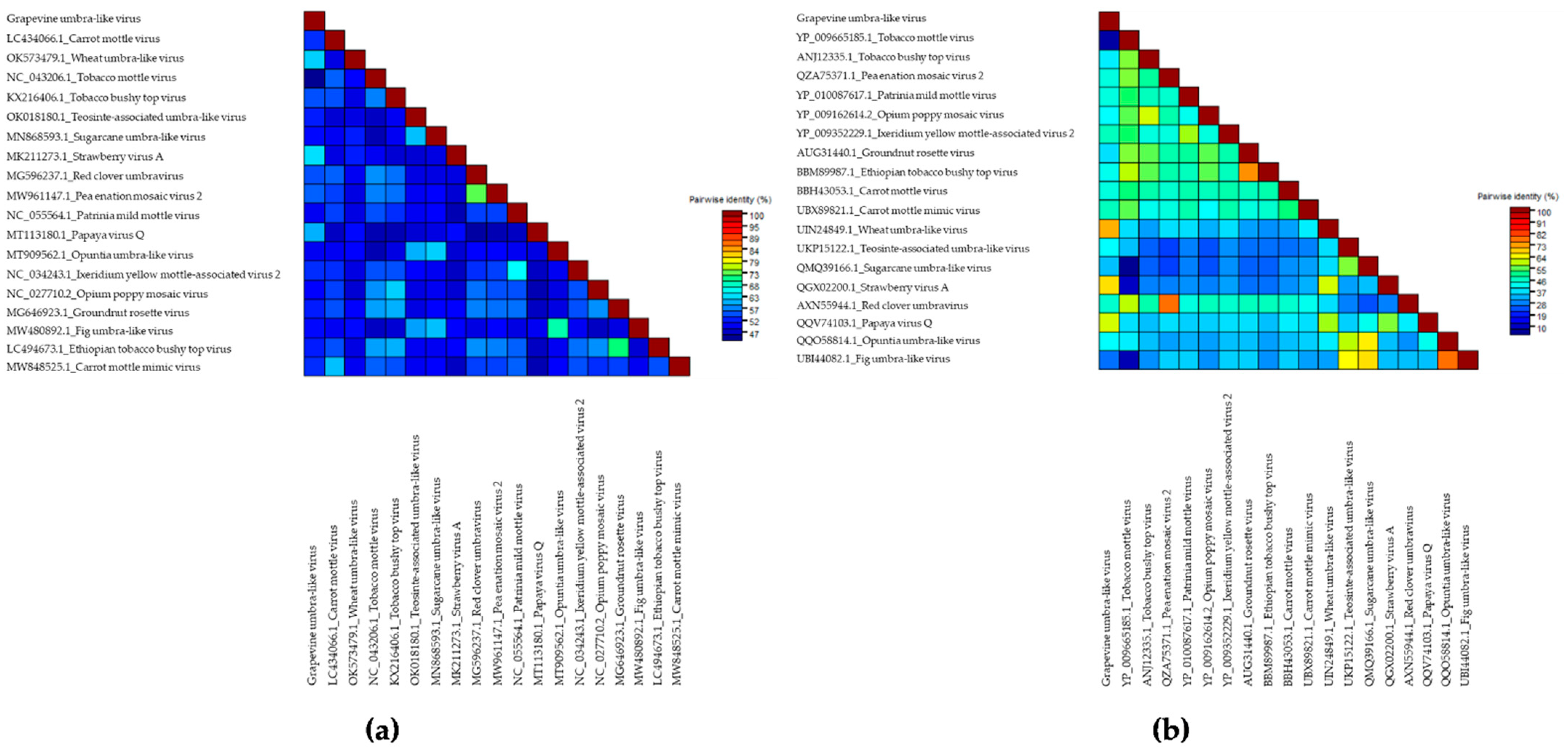 Viruses 14 01314 g002