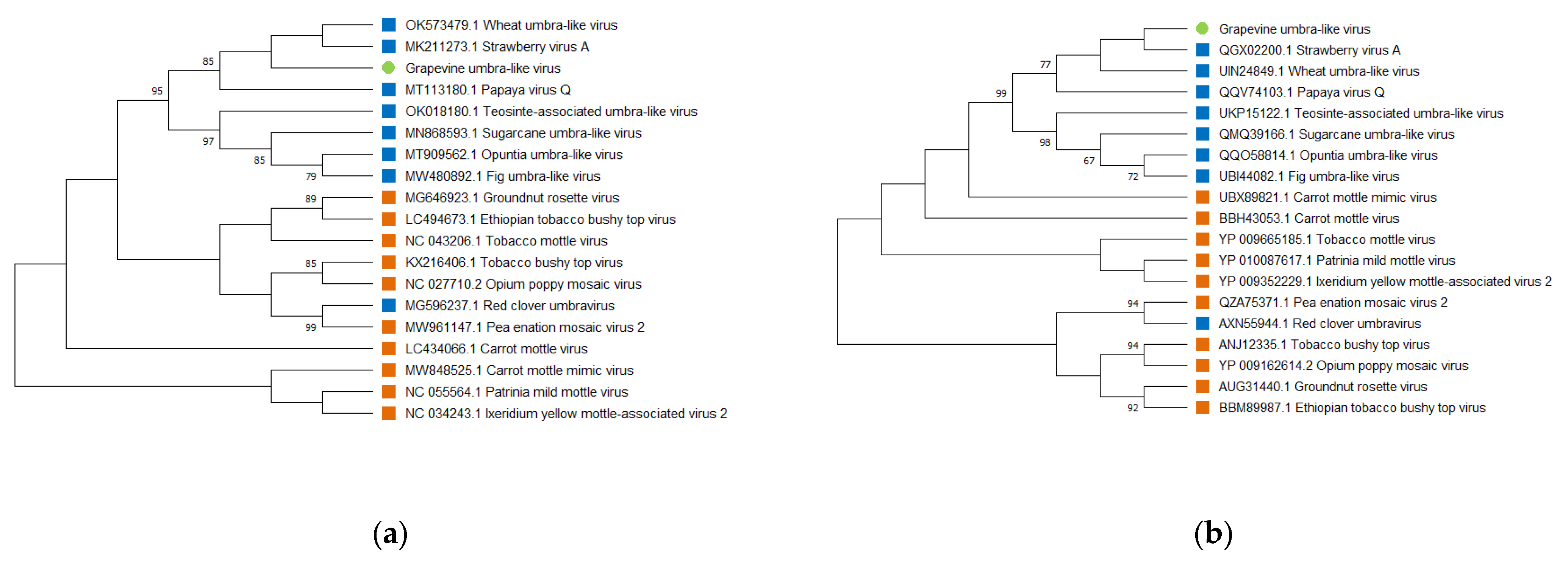 Viruses 14 01314 g003