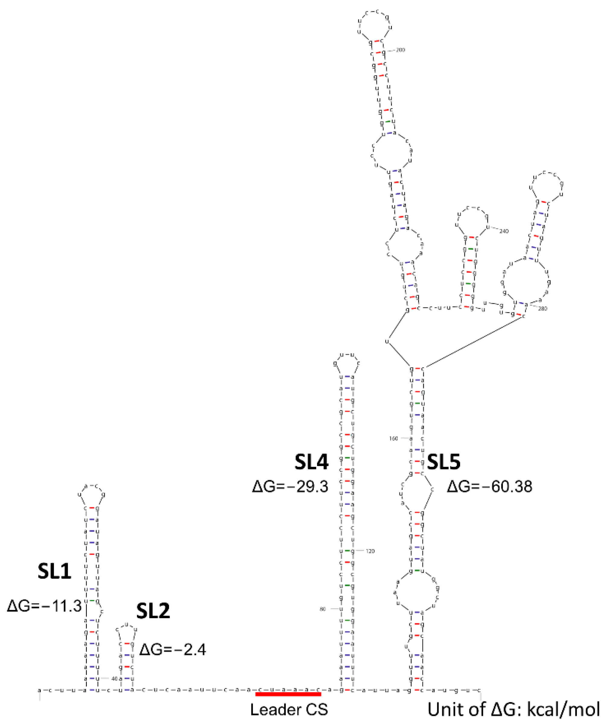 Viruses 14 01317 g003