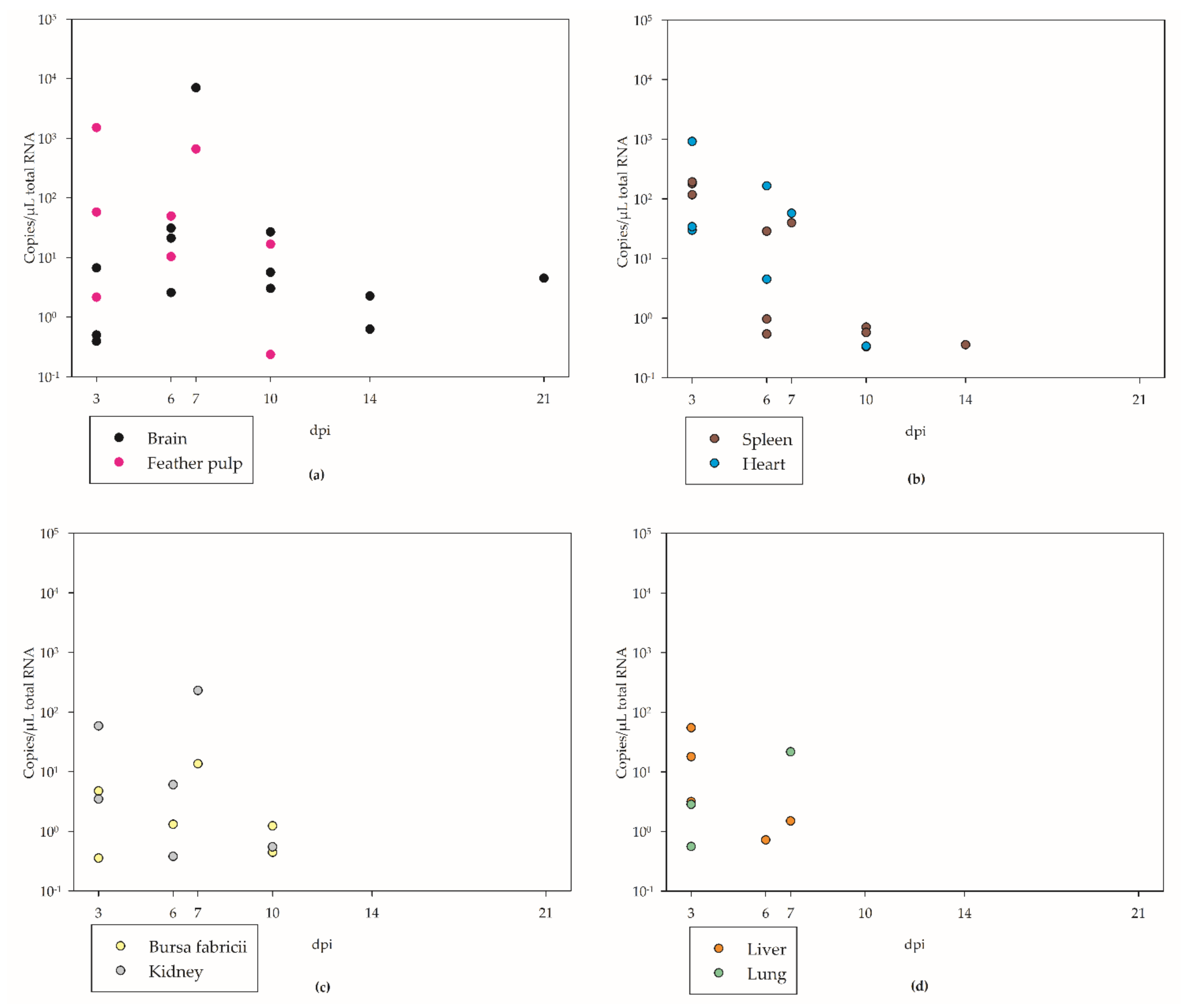 Viruses 14 01319 g006