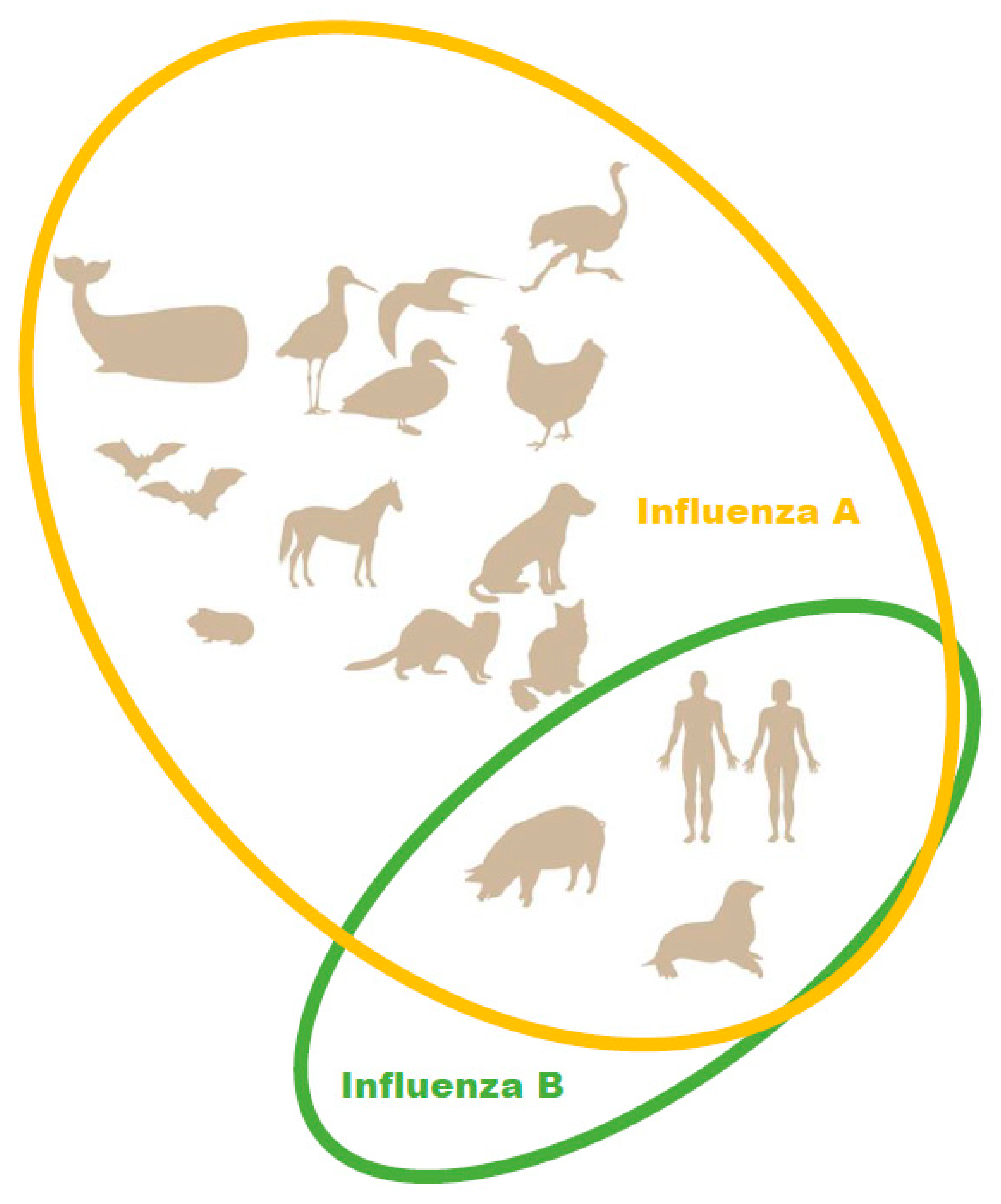 Viruses 14 01323 g001