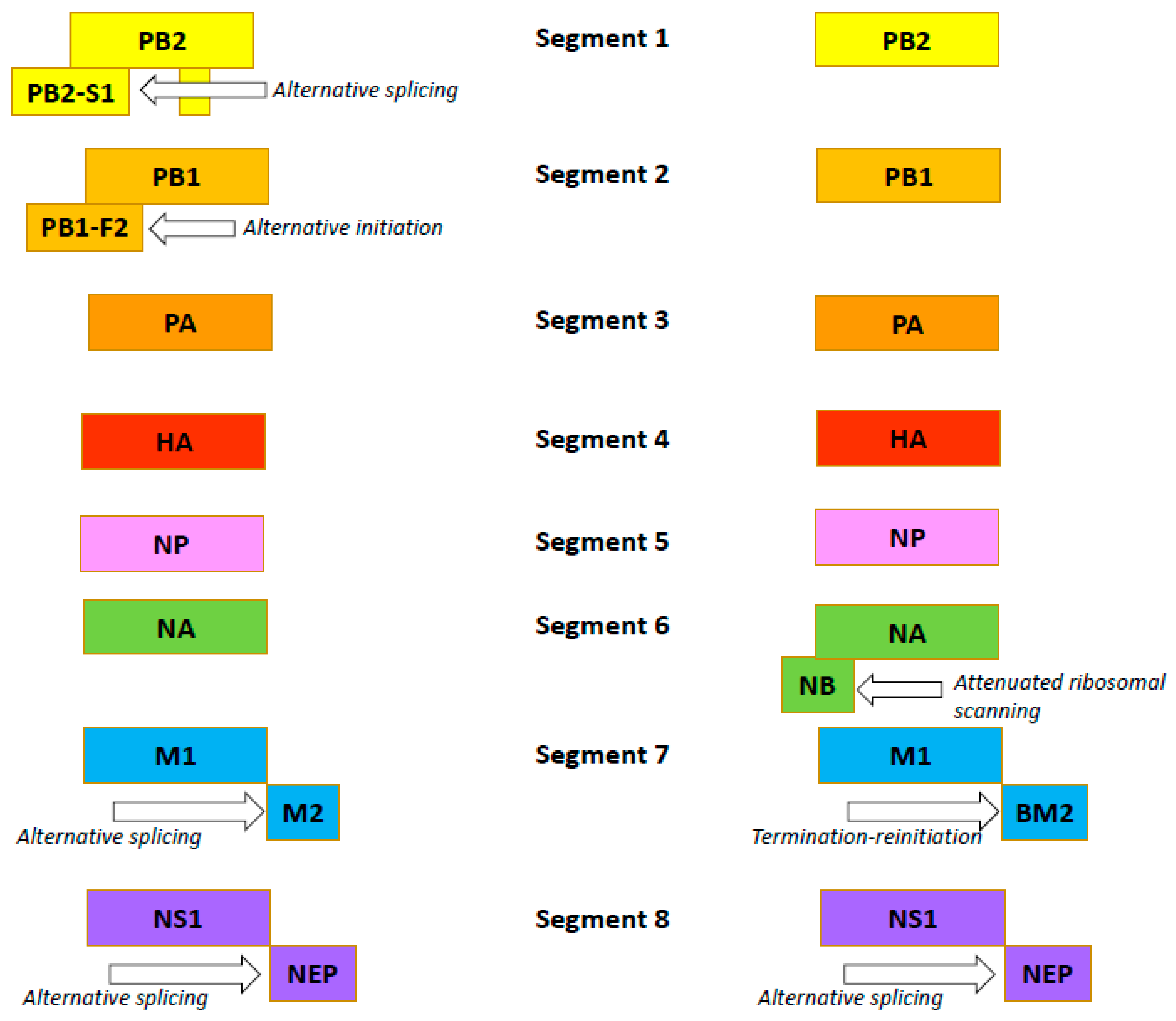 Viruses 14 01323 g002