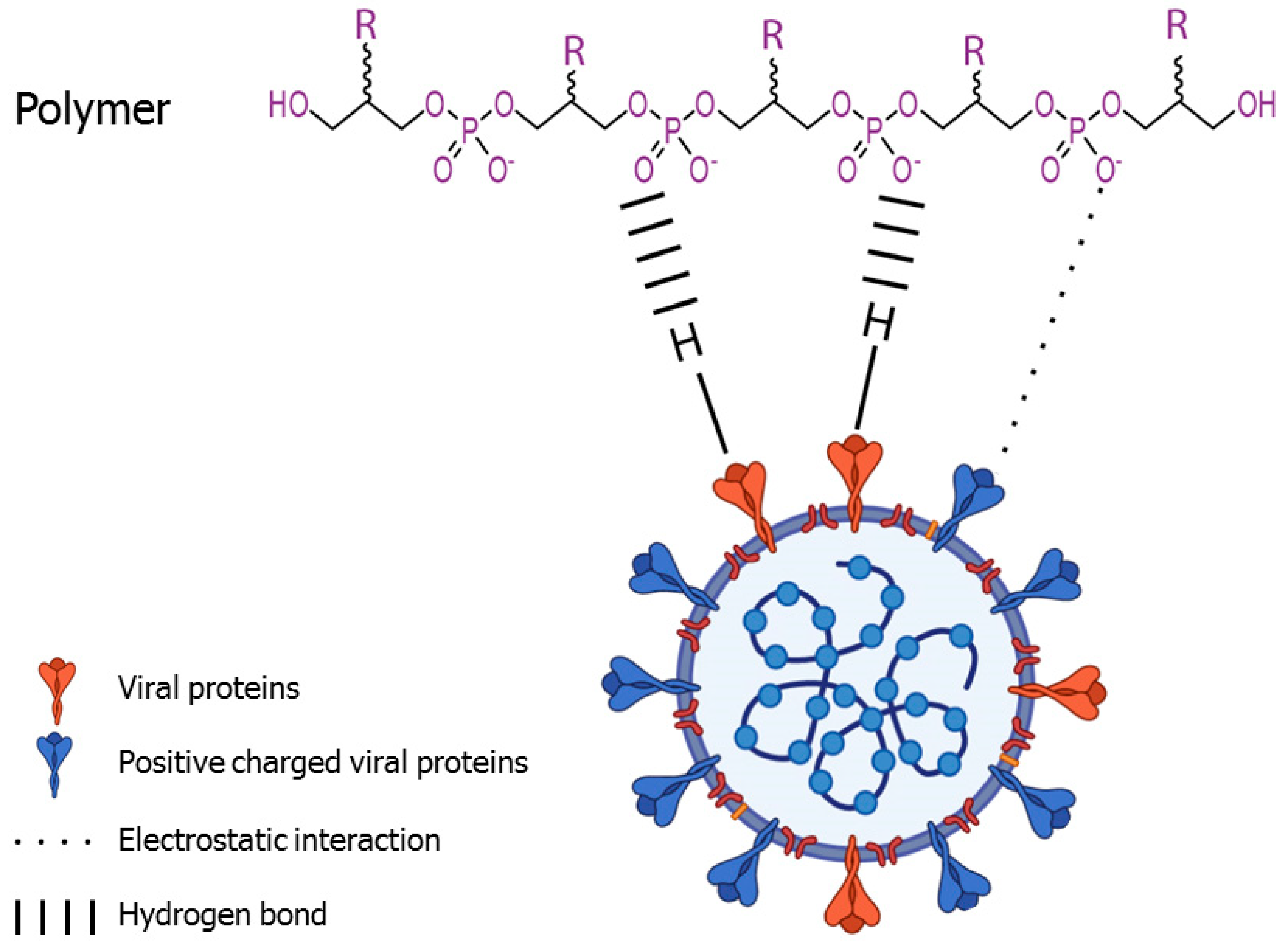 Viruses 14 01337 g002