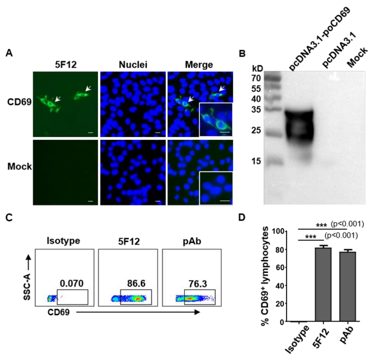 Viruses 14 01343 g001