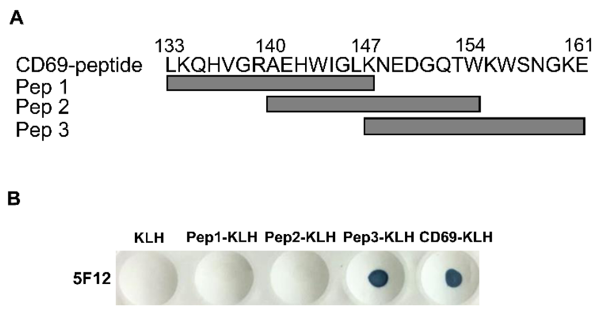 Viruses 14 01343 g002