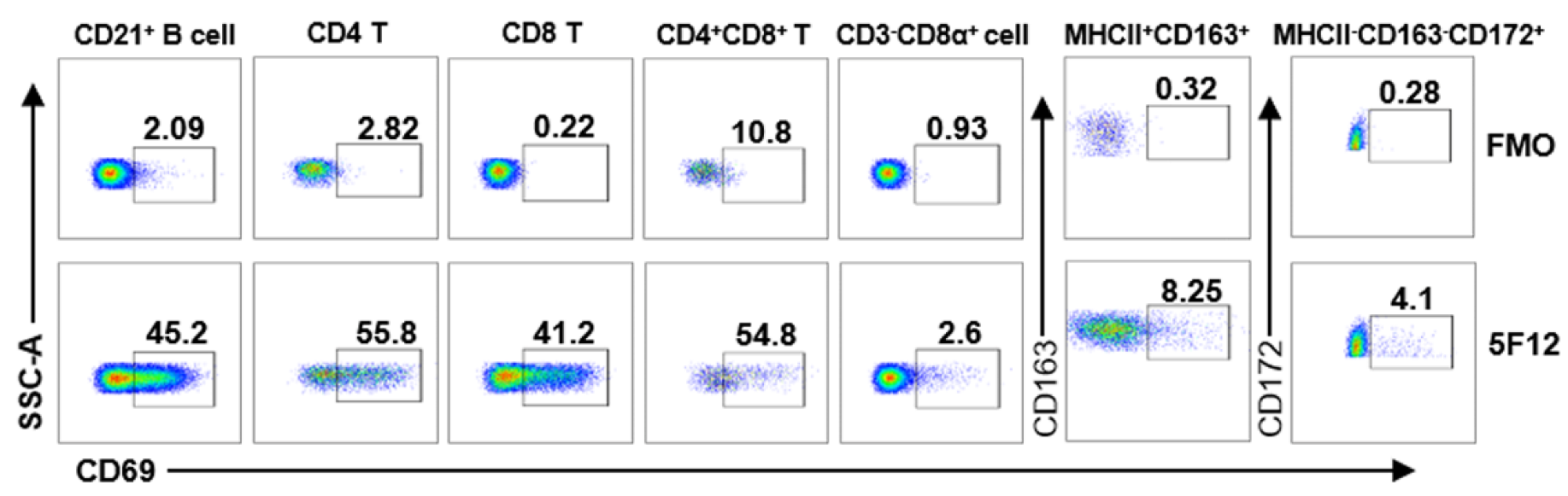 Viruses 14 01343 g004