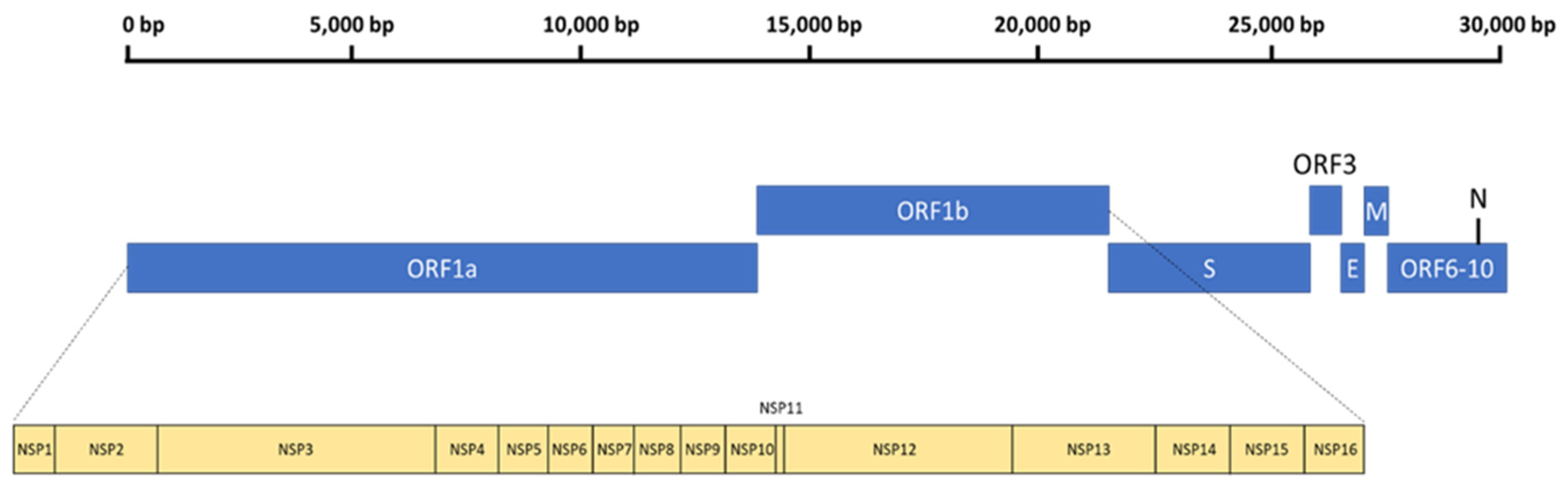 Viruses 14 01345 g001