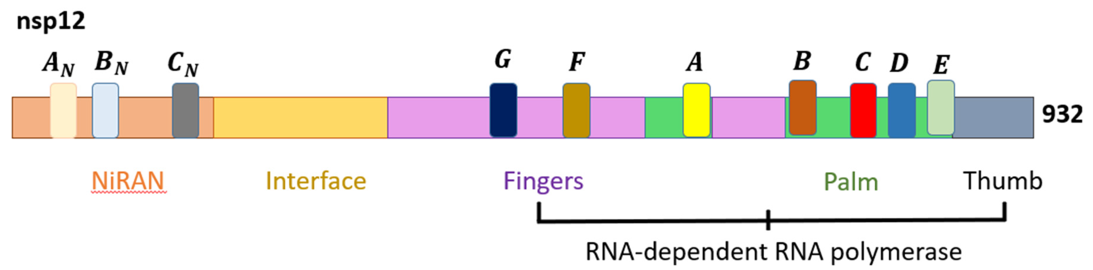 Viruses 14 01345 g002