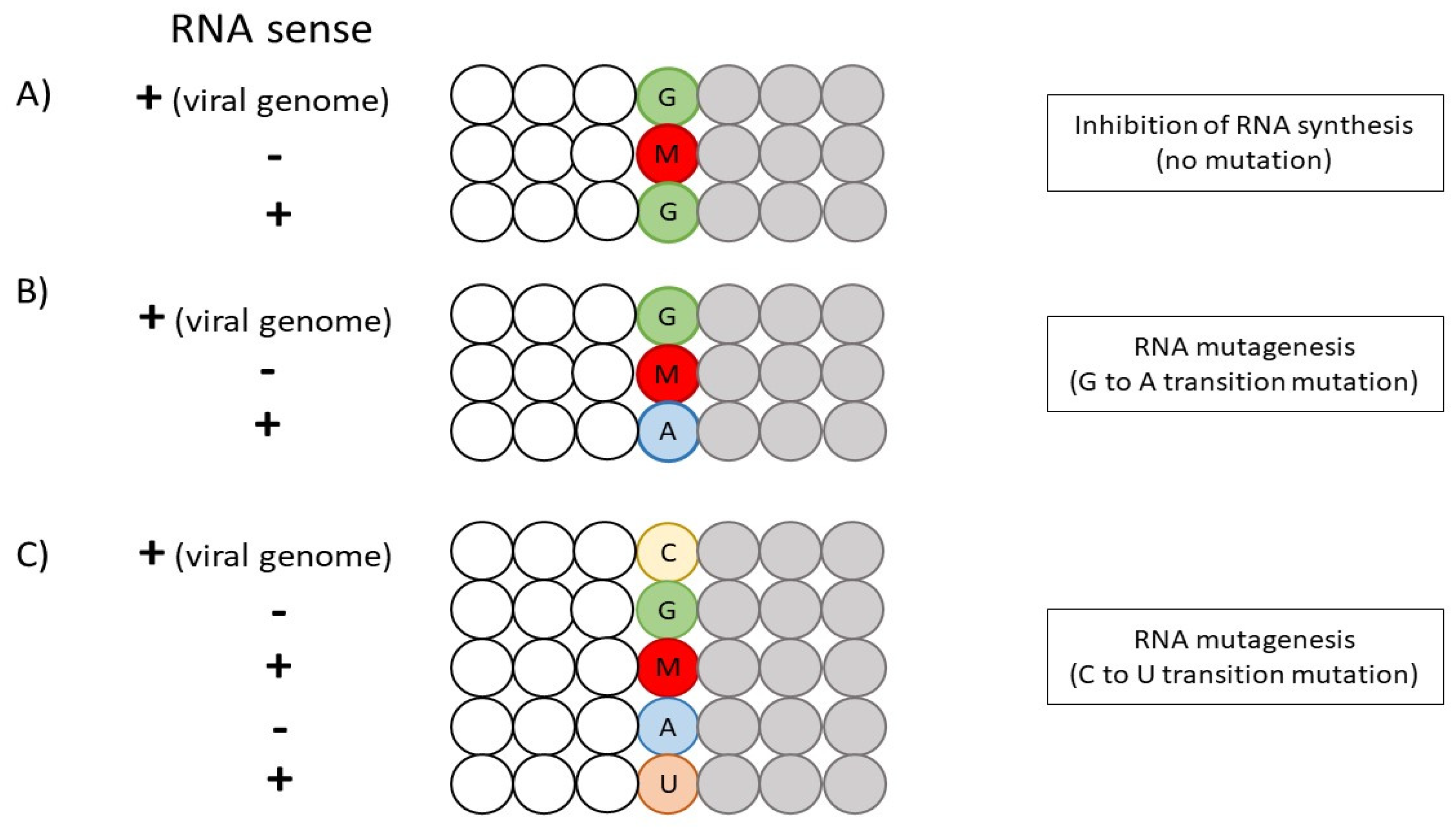 Viruses 14 01345 g003