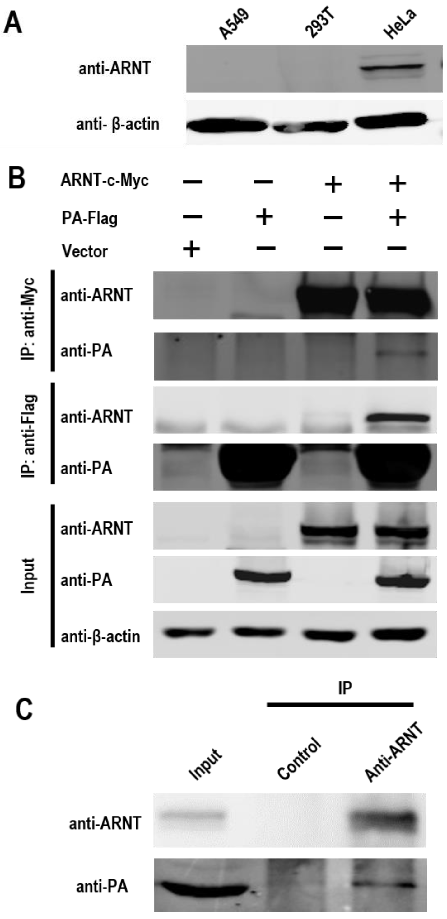 Viruses 14 01347 g001