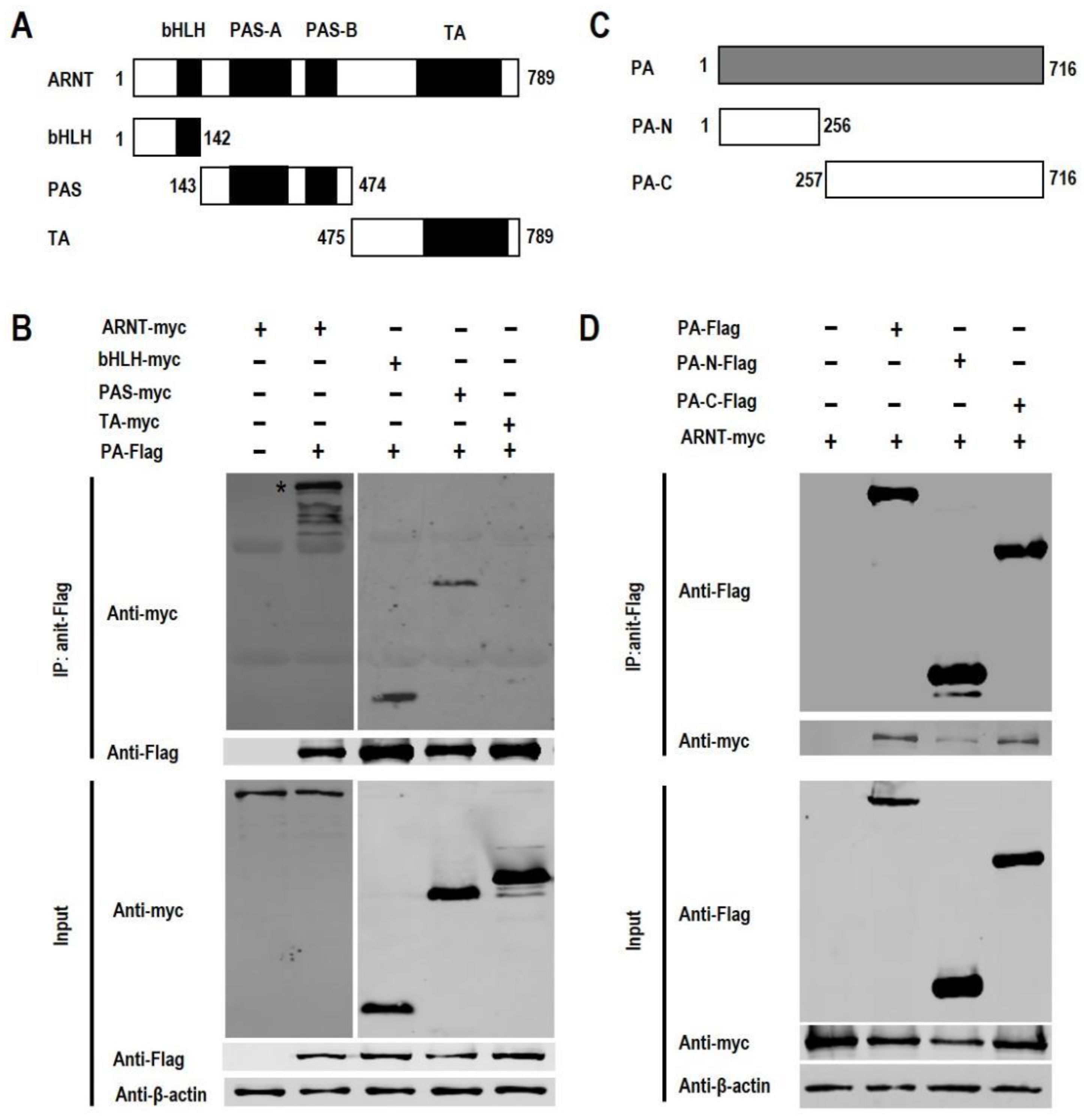 Viruses 14 01347 g002