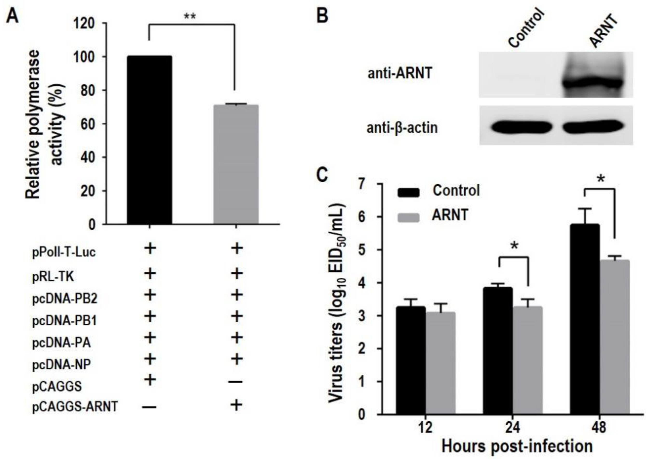 Viruses 14 01347 g003