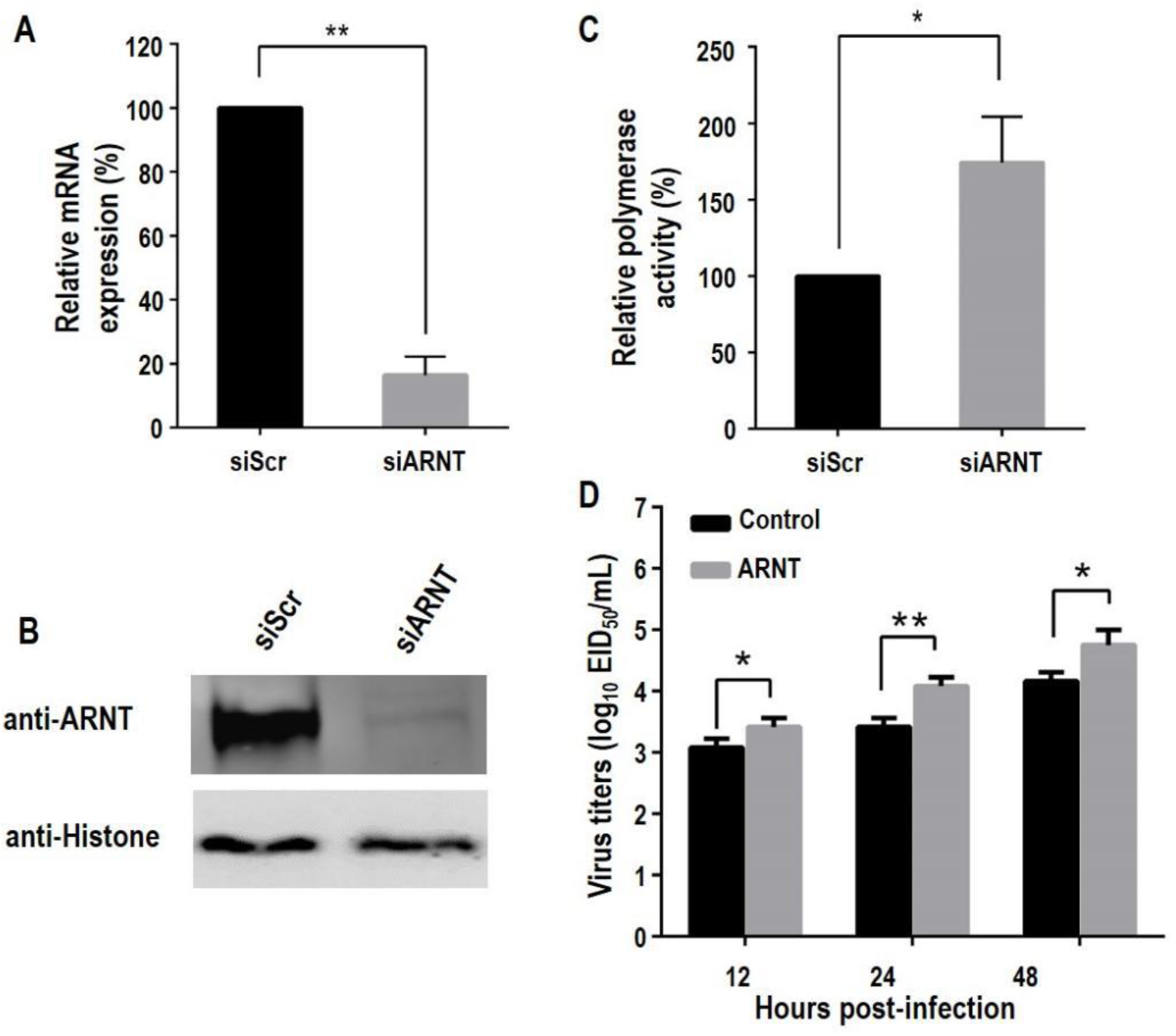 Viruses 14 01347 g004