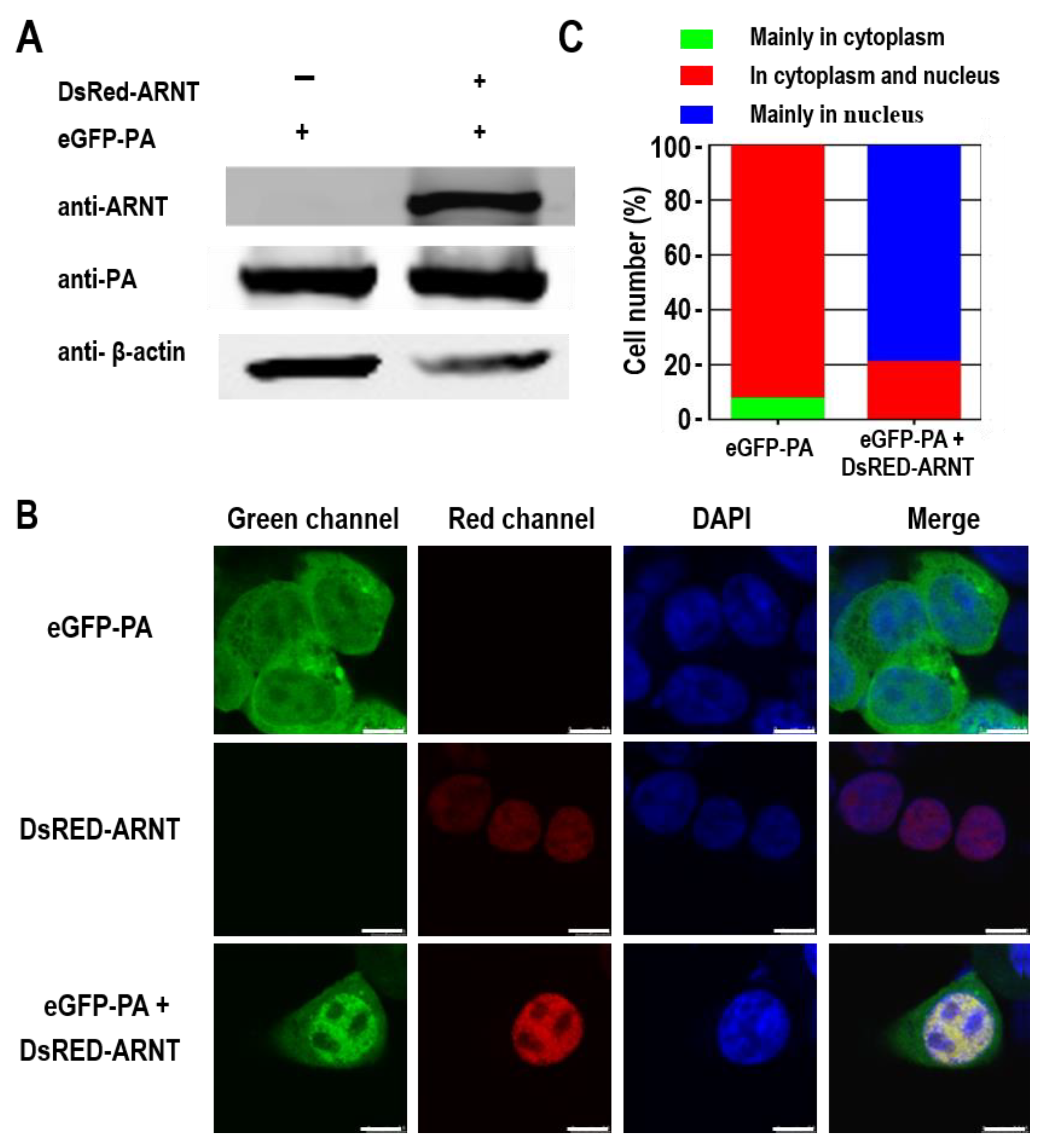 Viruses 14 01347 g006