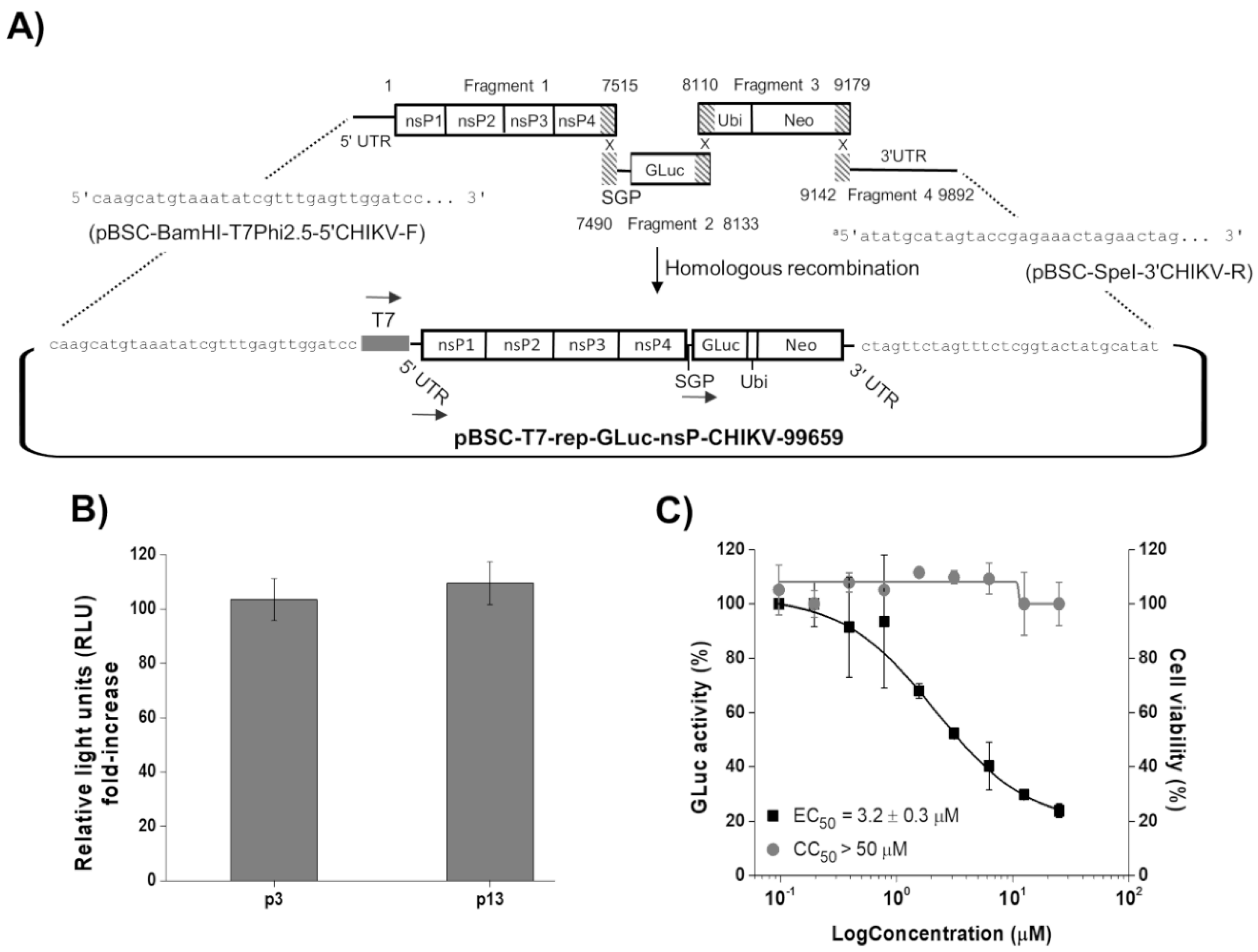 Viruses 14 01351 g001