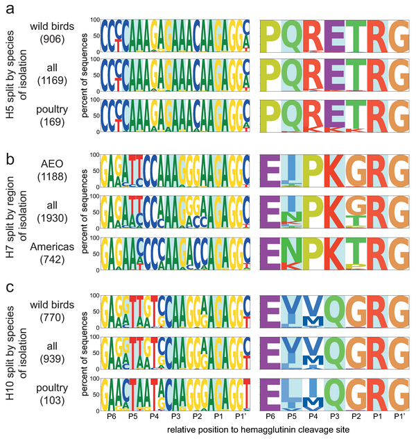 Viruses 14 01352 g003