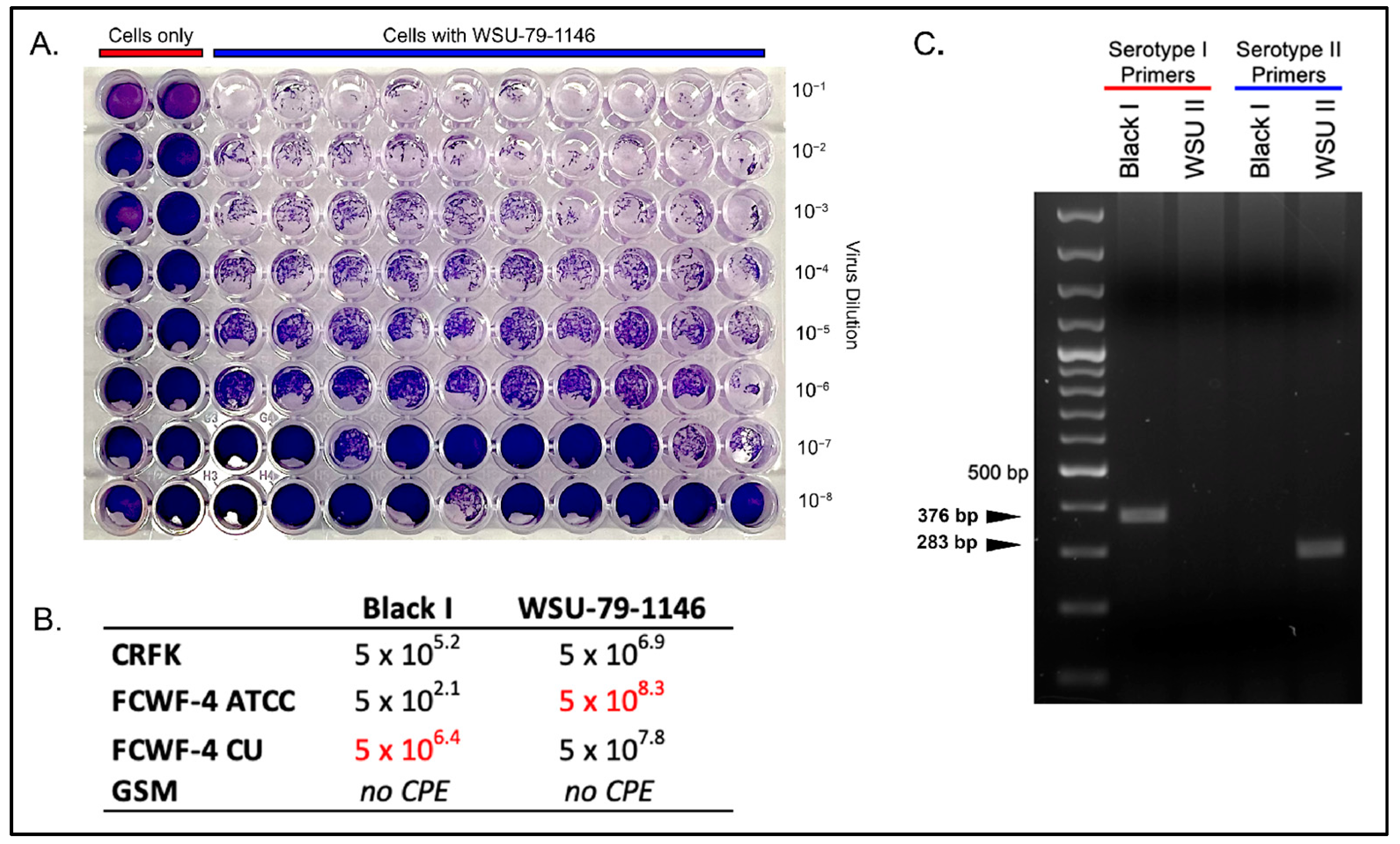 Viruses 14 01356 g001