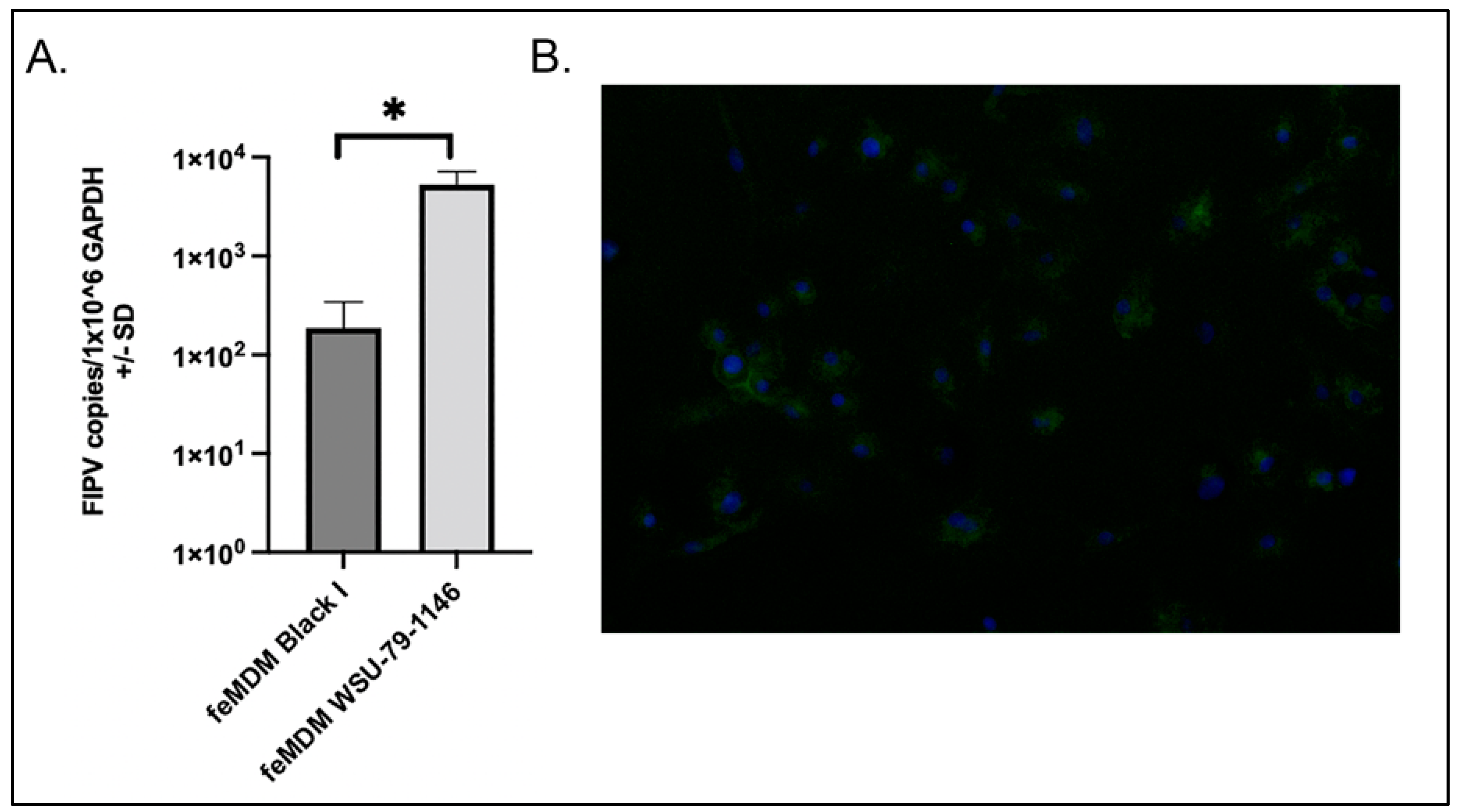 Viruses 14 01356 g002
