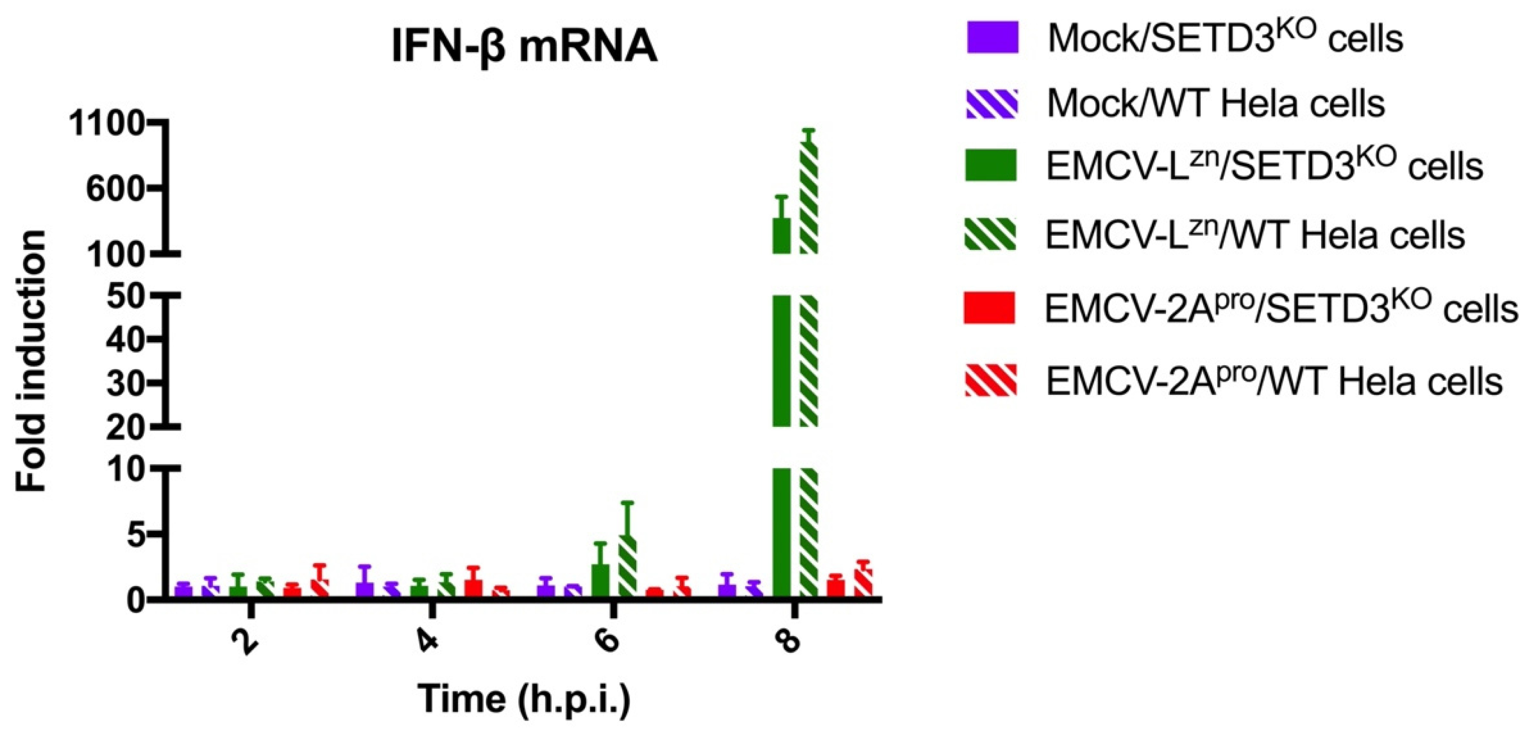 Viruses 14 01360 g006